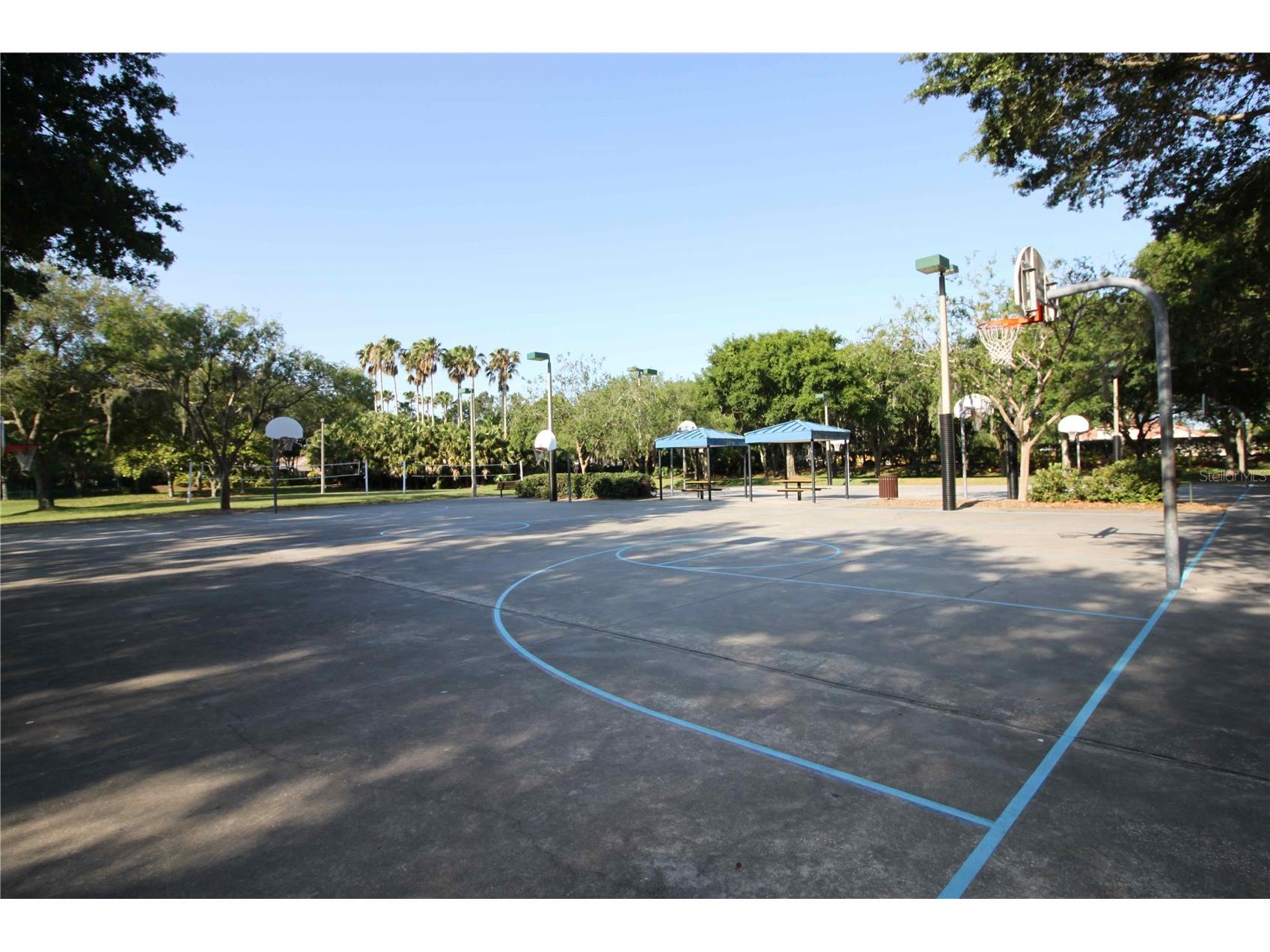 3830 Moreno Drive Palm Harbor FL 34685 TB8461072 image81