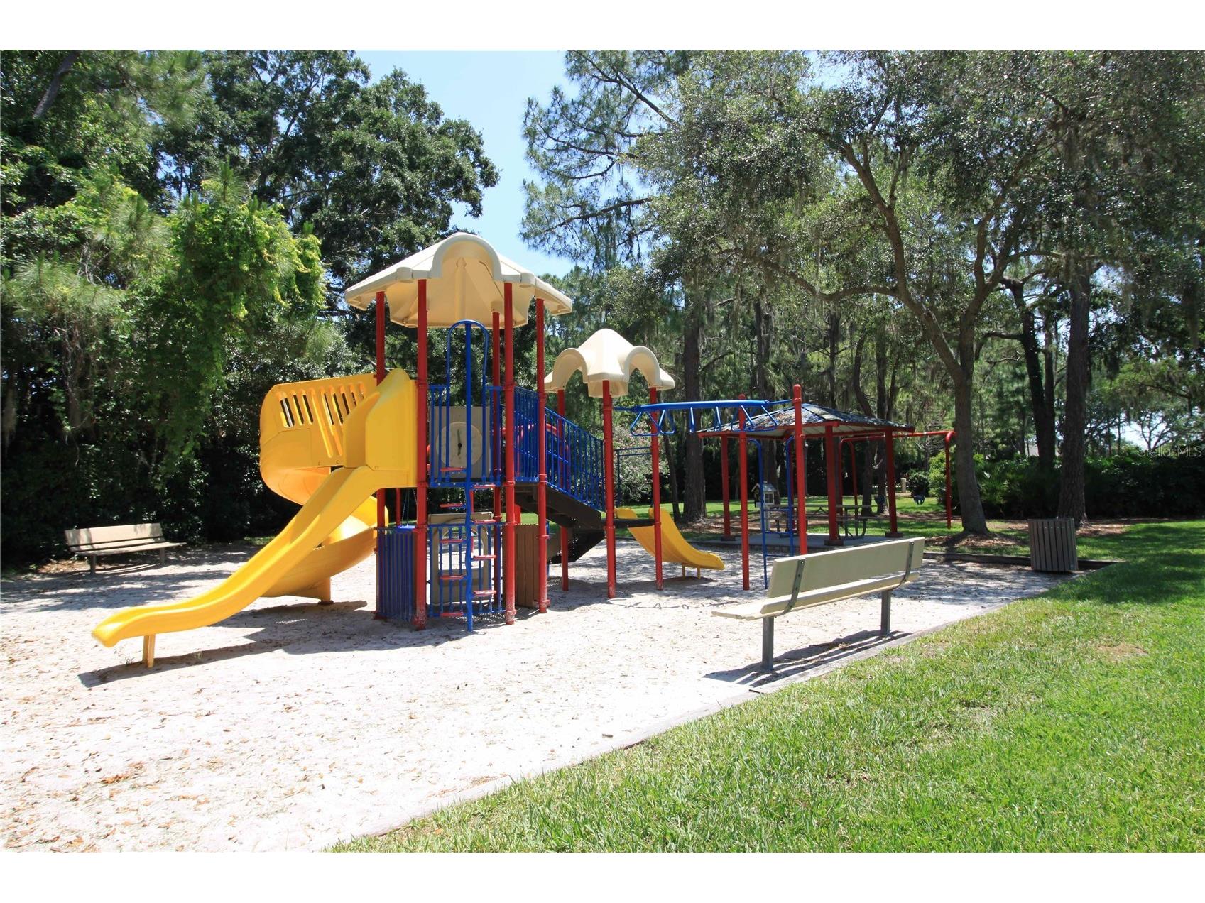 3830 Moreno Drive Palm Harbor FL 34685 TB8461072 image86