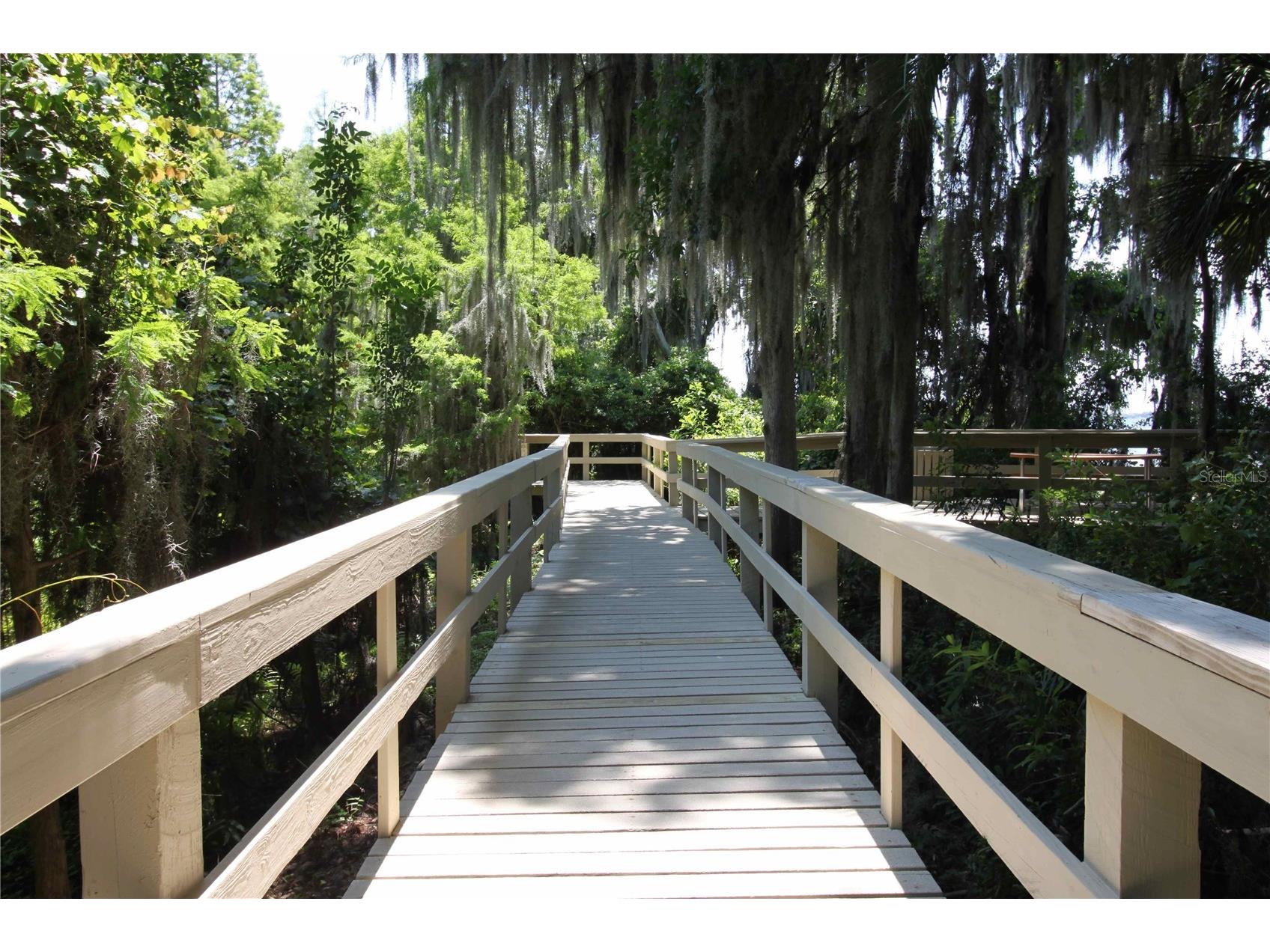 3830 Moreno Drive Palm Harbor FL 34685 TB8461072 image88