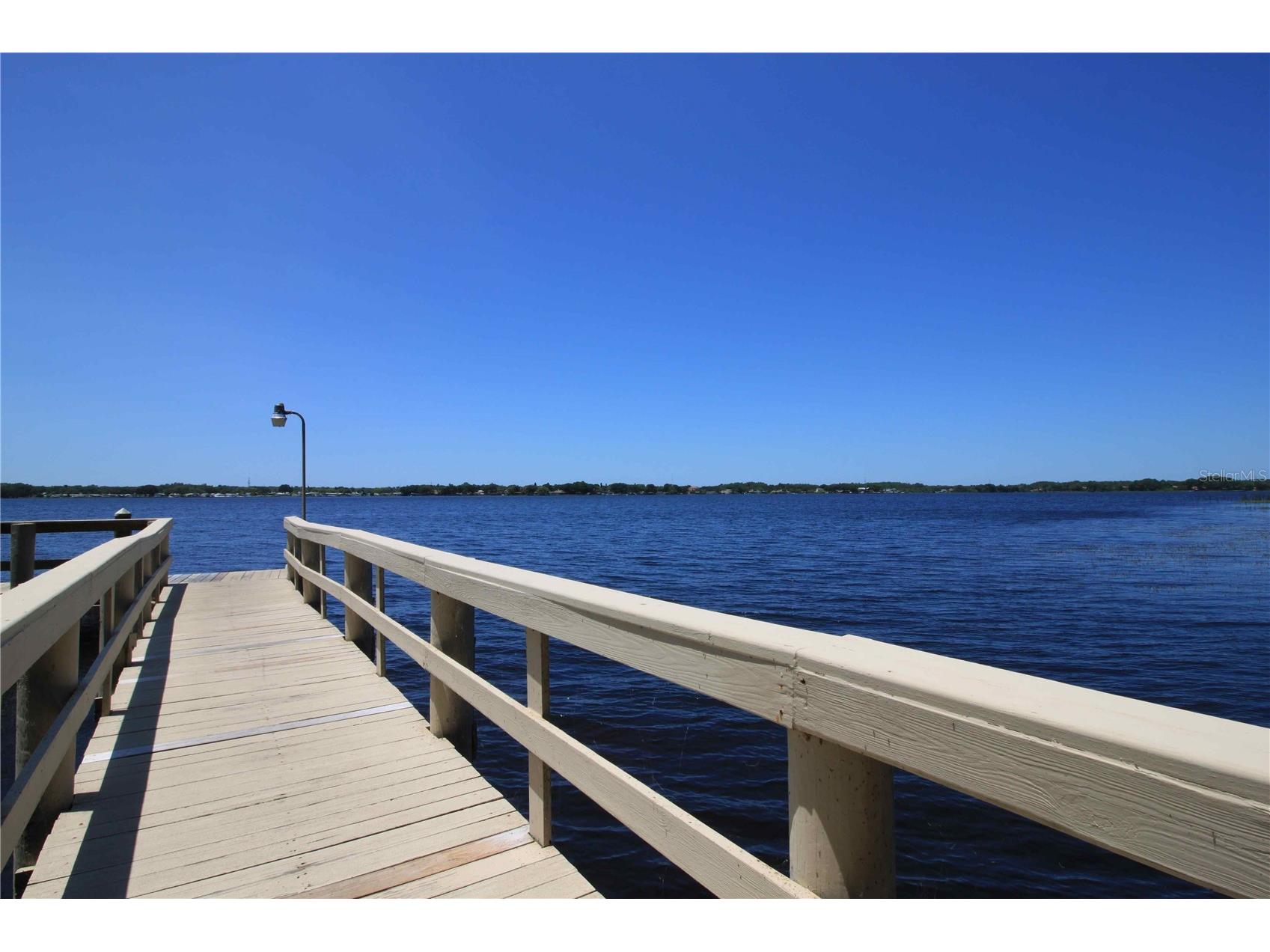 3830 Moreno Drive Palm Harbor FL 34685 TB8461072 image92