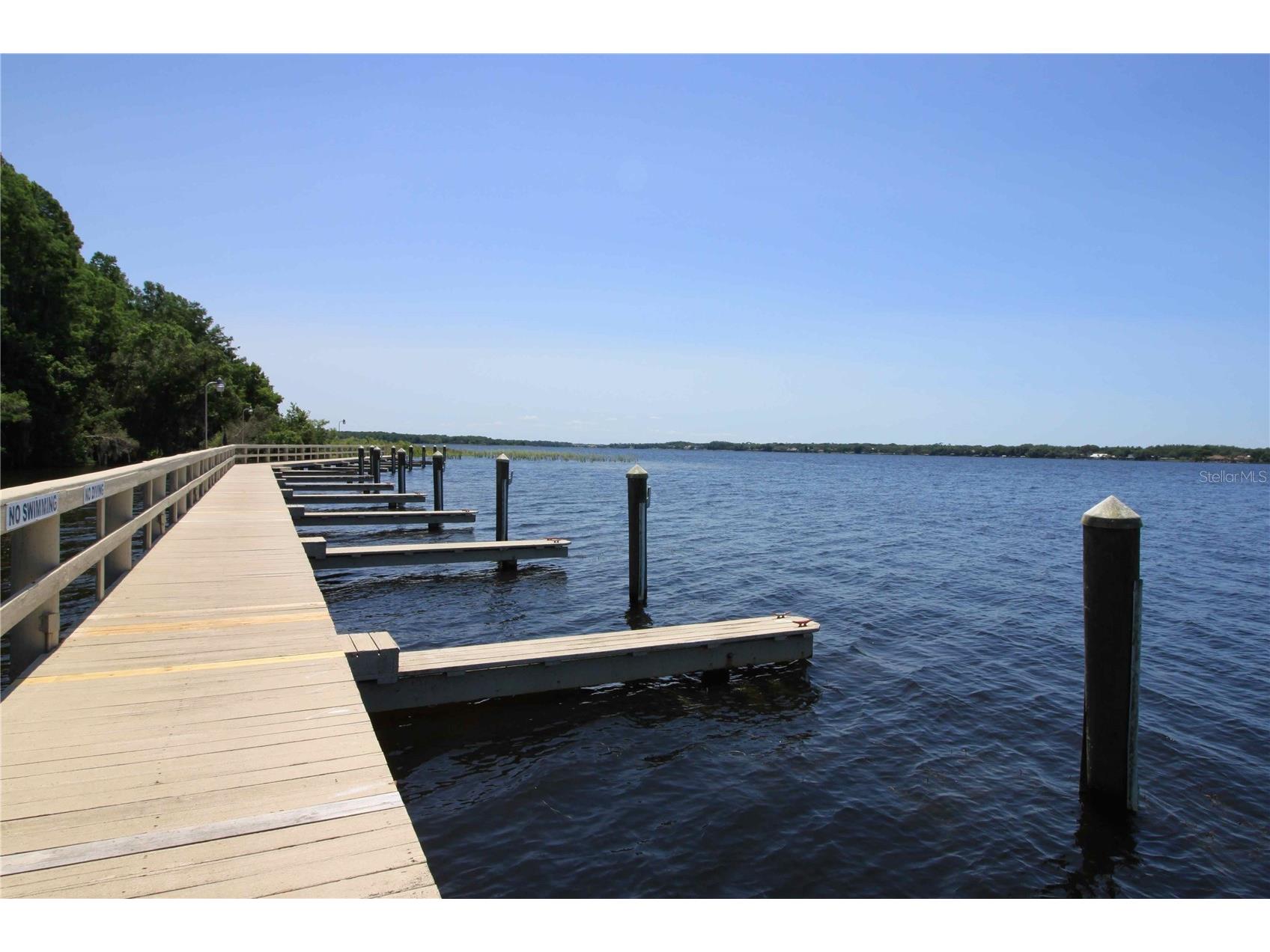 3830 Moreno Drive Palm Harbor FL 34685 TB8461072 image93