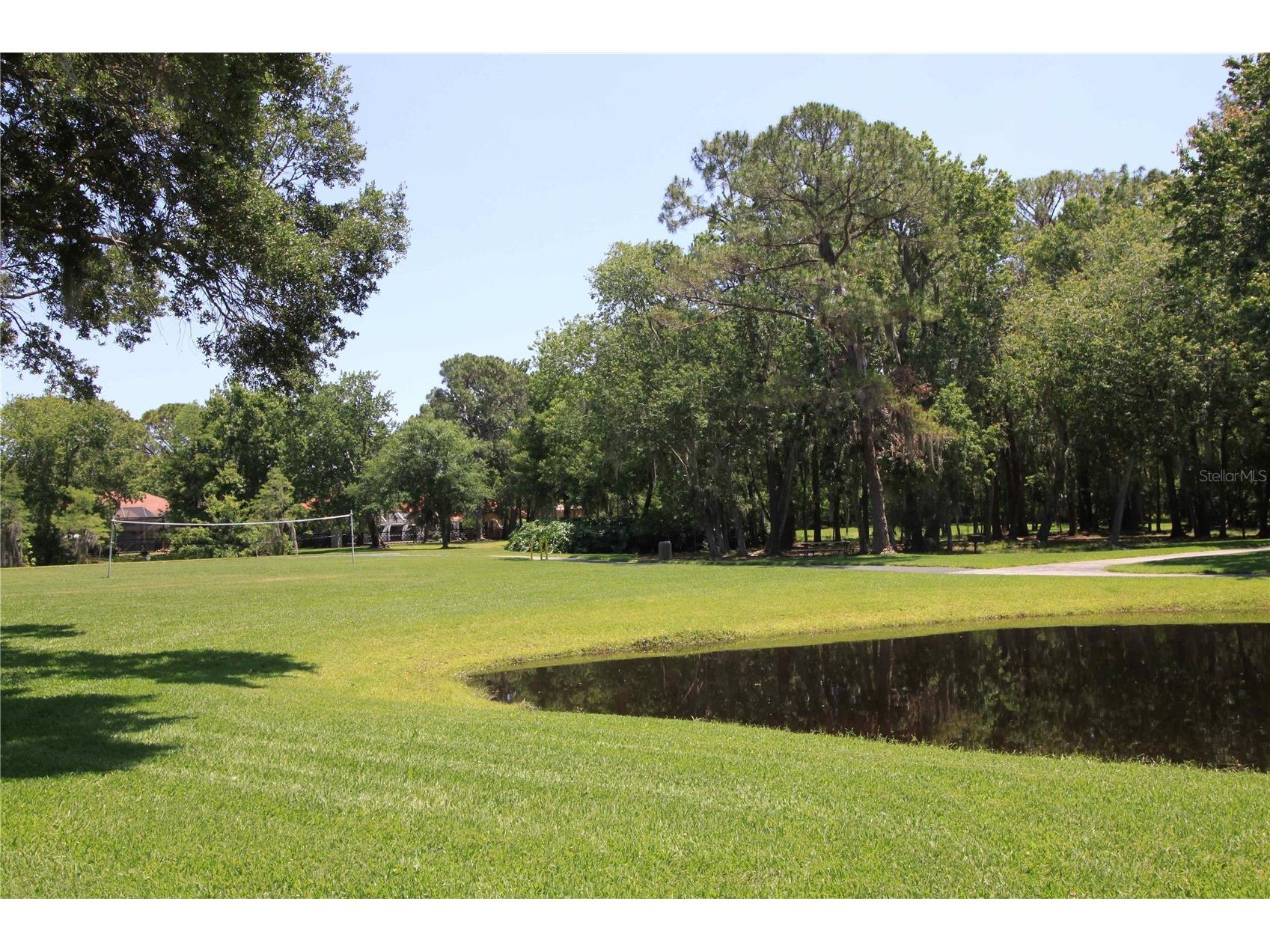 3830 Moreno Drive Palm Harbor FL 34685 TB8461072 image94