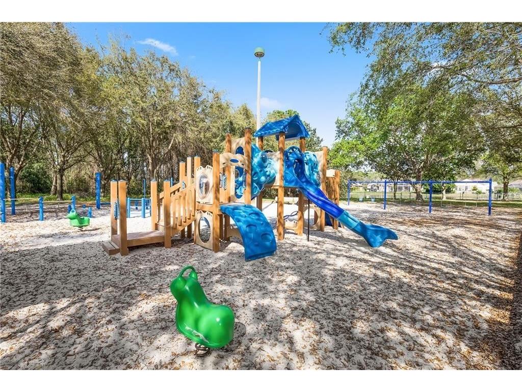 3830 Moreno Drive Palm Harbor FL 34685 TB8461072 image98