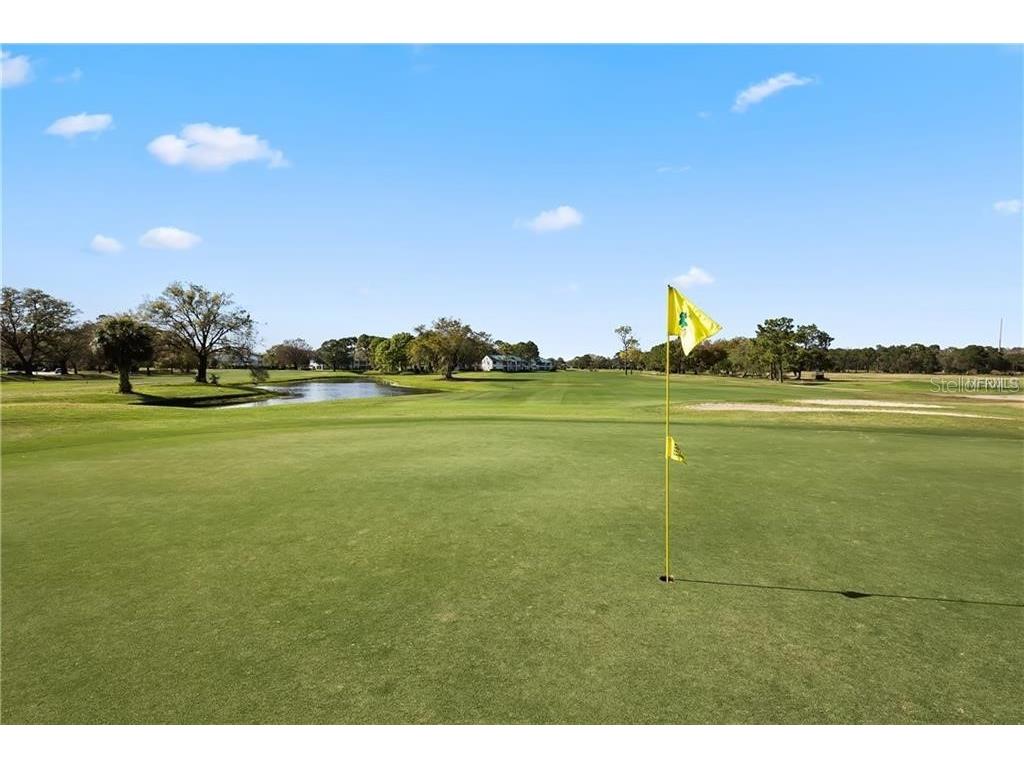 3830 Moreno Drive Palm Harbor FL 34685 TB8461072 image99