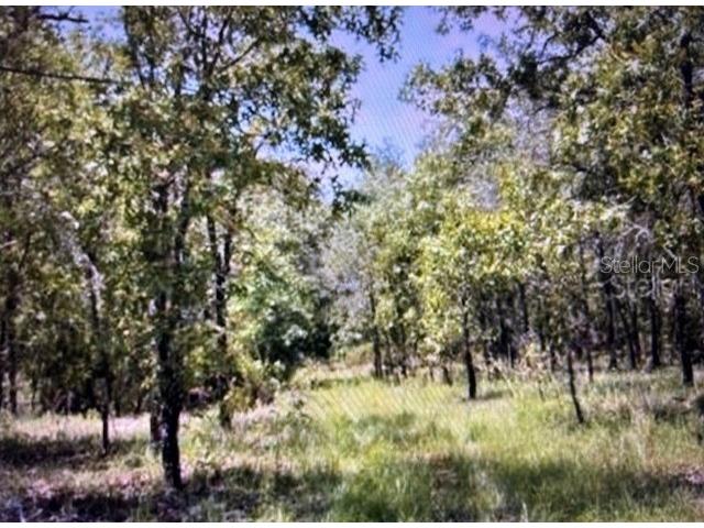 3830 NE 127th Court Williston FL 32696 OM693112 image1