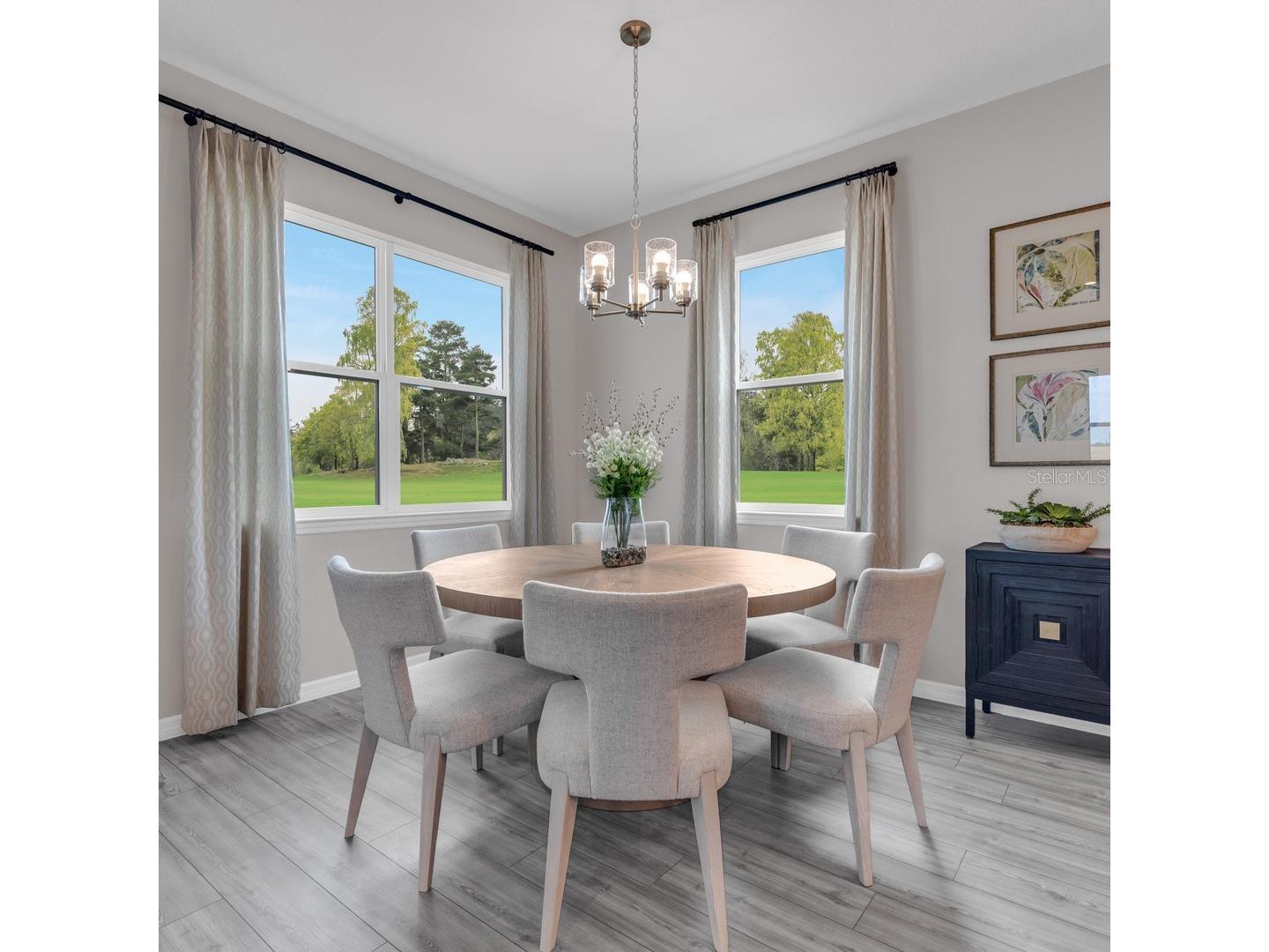 3830 Senna Way Tavares FL 32778 O6413114 image9