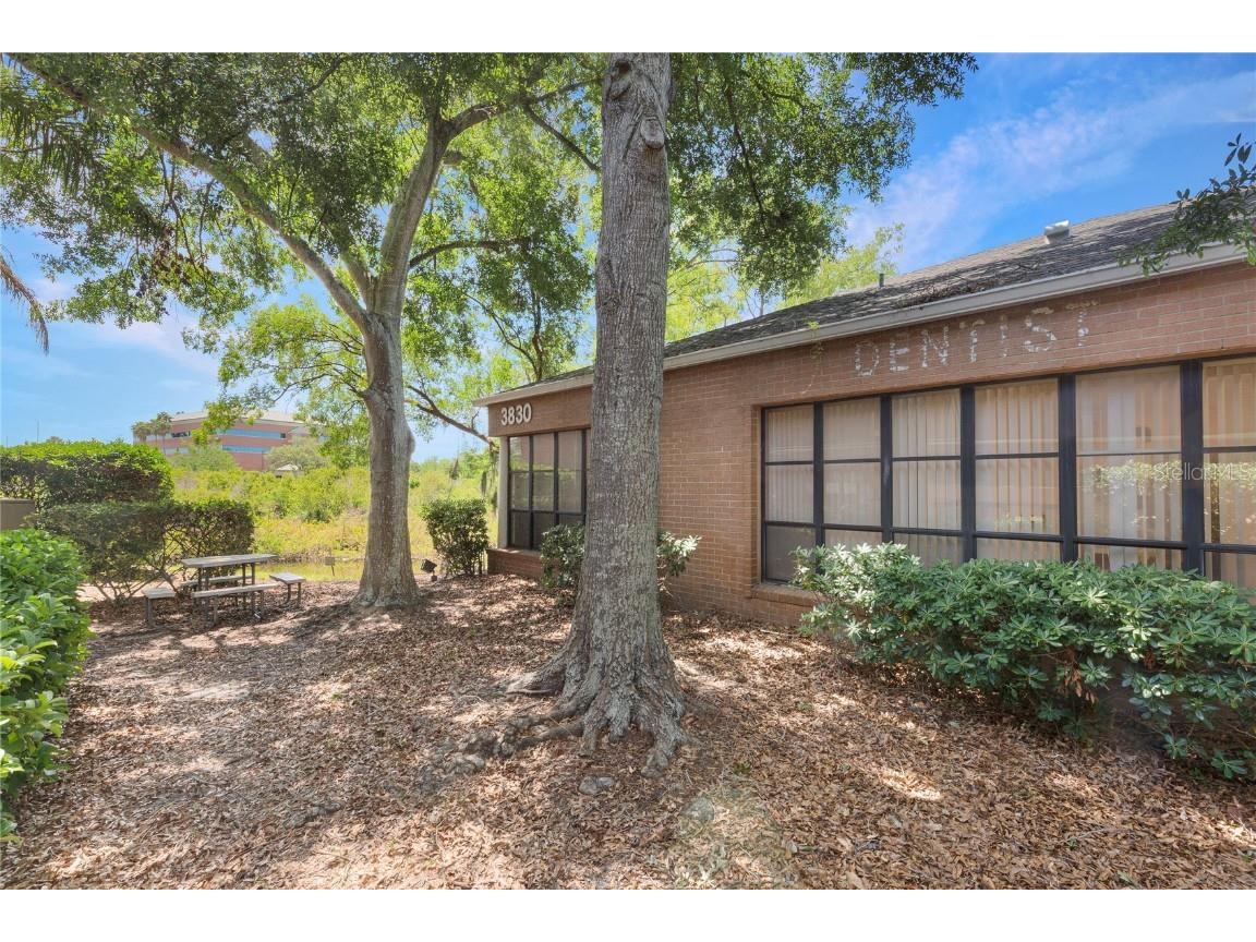 3830 Tampa Road #100 Palm Harbor FL 34684 TB8377374 image4