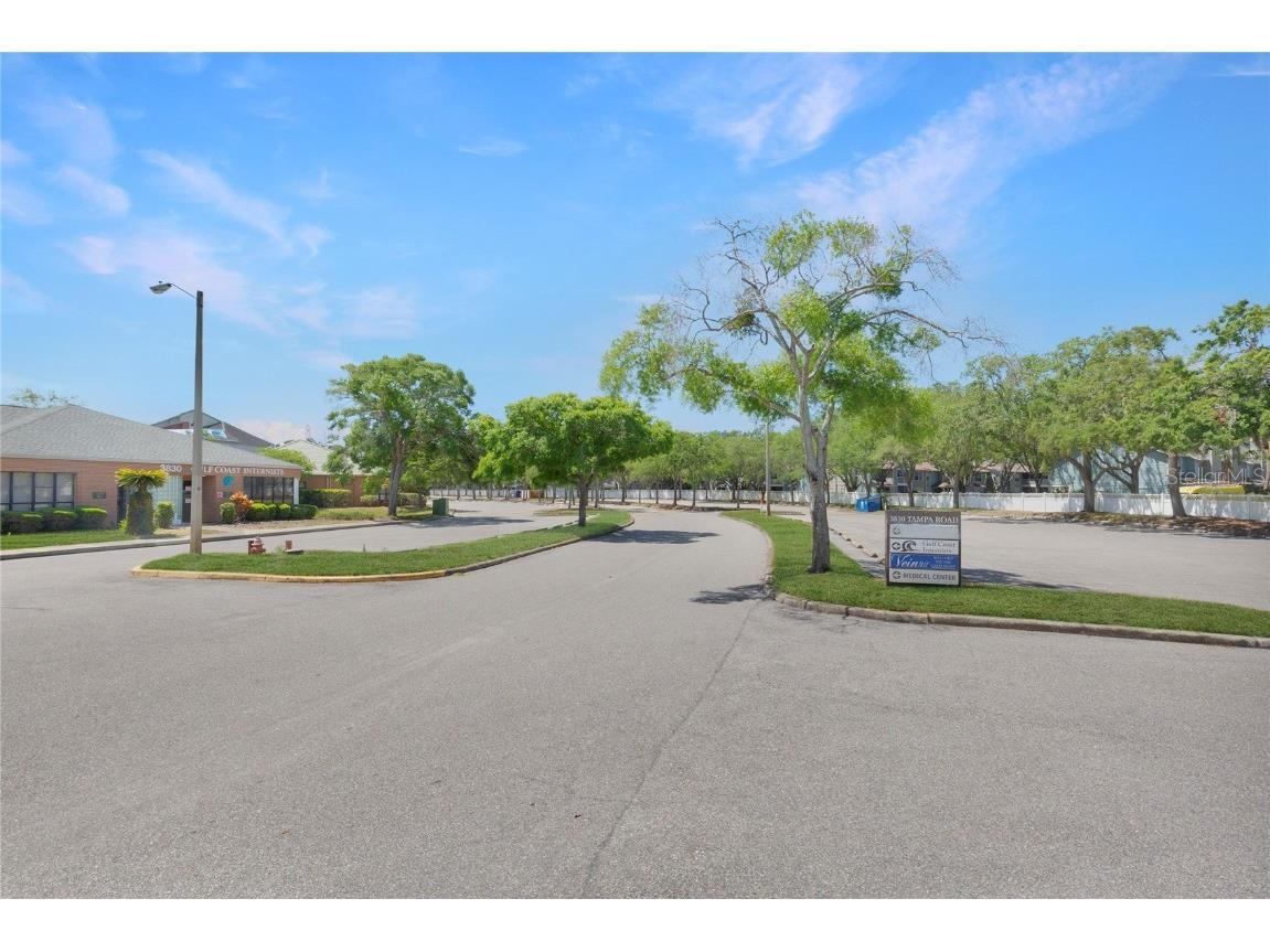 3830 Tampa Road #100 Palm Harbor FL 34684 TB8377374 image5