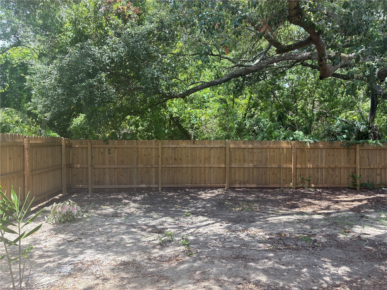 3830 Valley Tree Drive Tampa FL 33610 TB8528034 image18