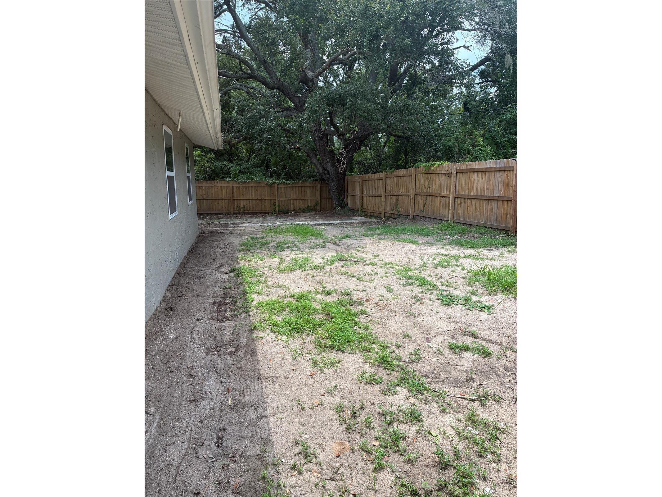 3830 Valley Tree Drive Tampa FL 33610 TB8528034 image19