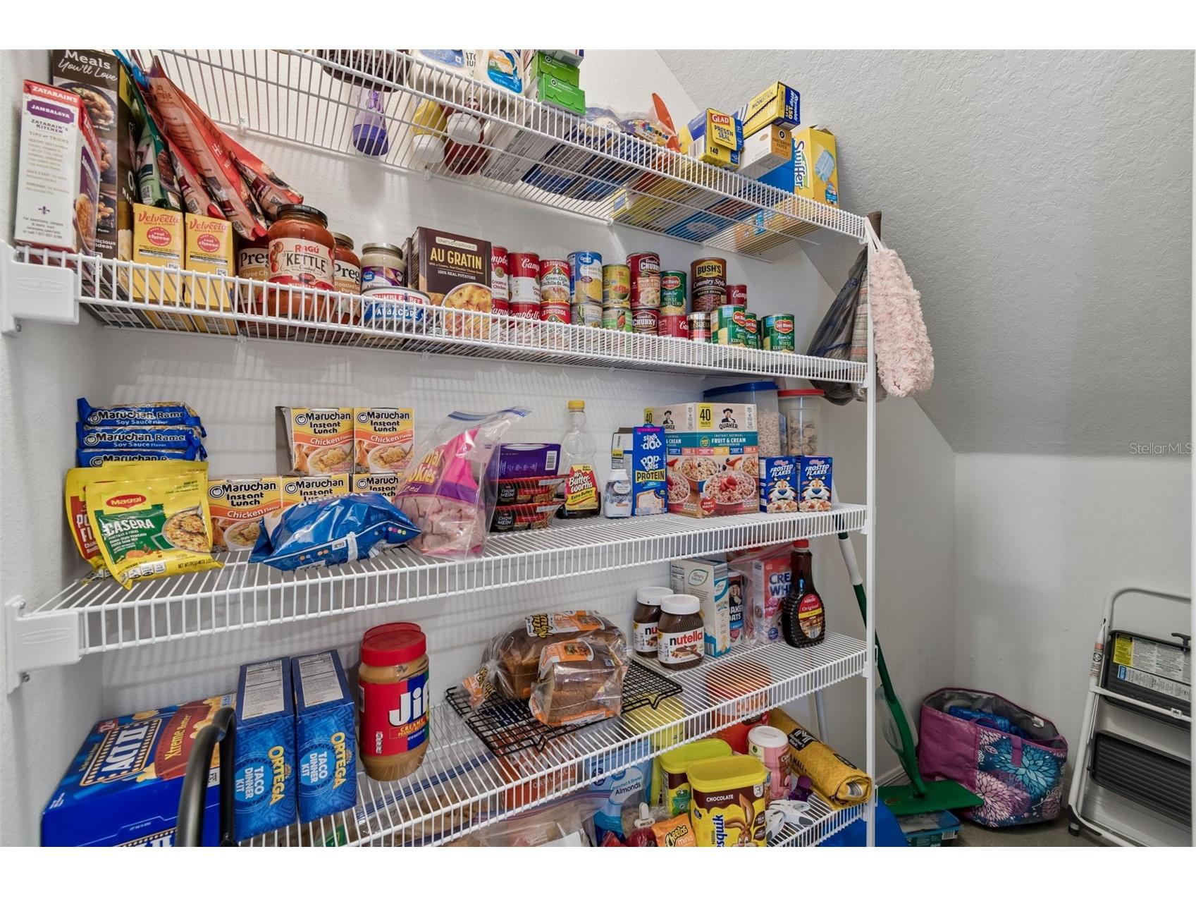 3830 Vignoble Lane Brandon FL 33511 TB8528263 image18
