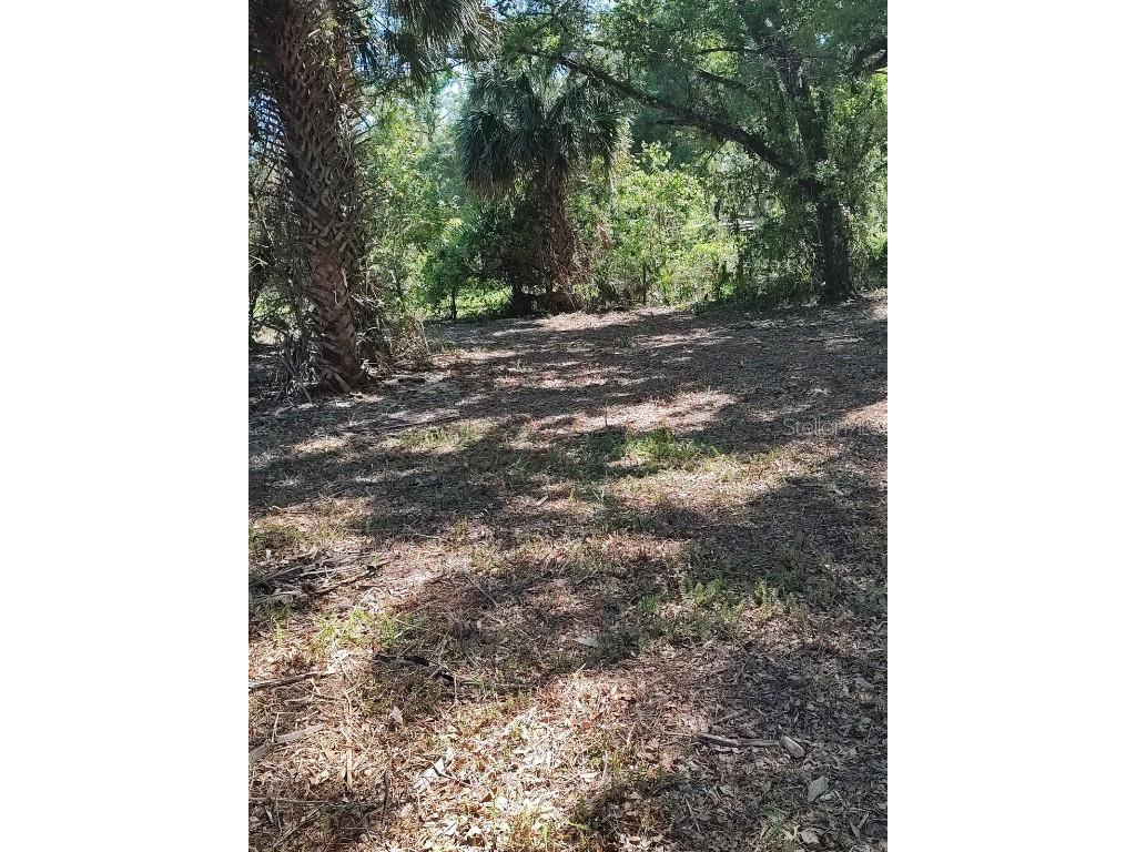 38310 Deerwoods Drive Eustis FL 32736 G5066452 image1