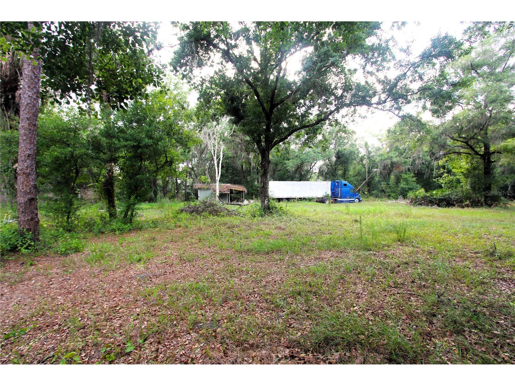 38319 County Line Road Zephyrhills FL 33540 TB8518719 image1