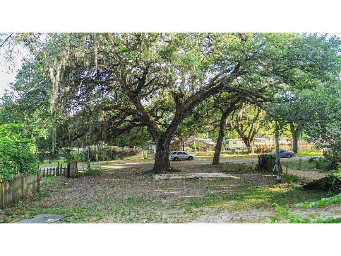 38319 Stebbins Avenue Zephyrhills FL 33542 TB8500866 image1