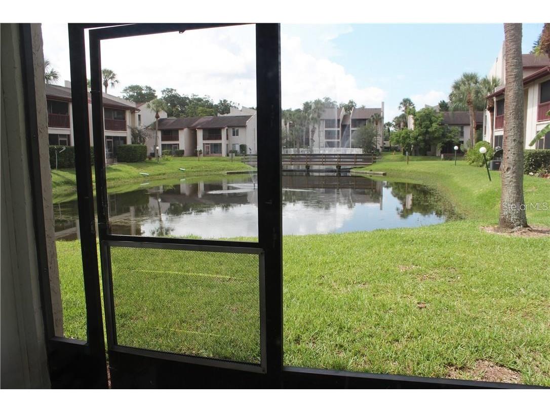 3832 N Lake Drive #116 Tampa FL 33614 TB8519672 image11