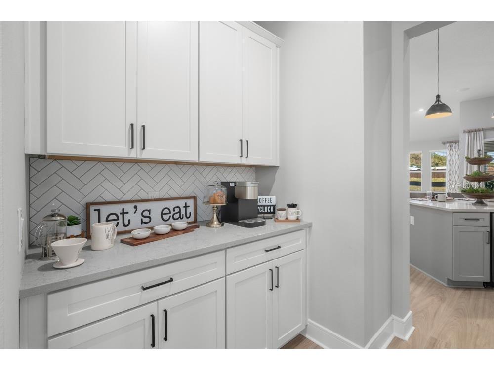 3832 Saddle Hill Trail Fruitland Park FL 34731 TB8488341 image8