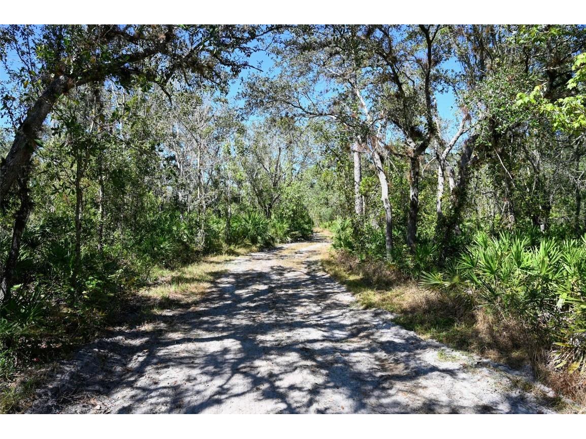 3832 SW Wildcat Run Road Arcadia FL 34266 OM668052 image1