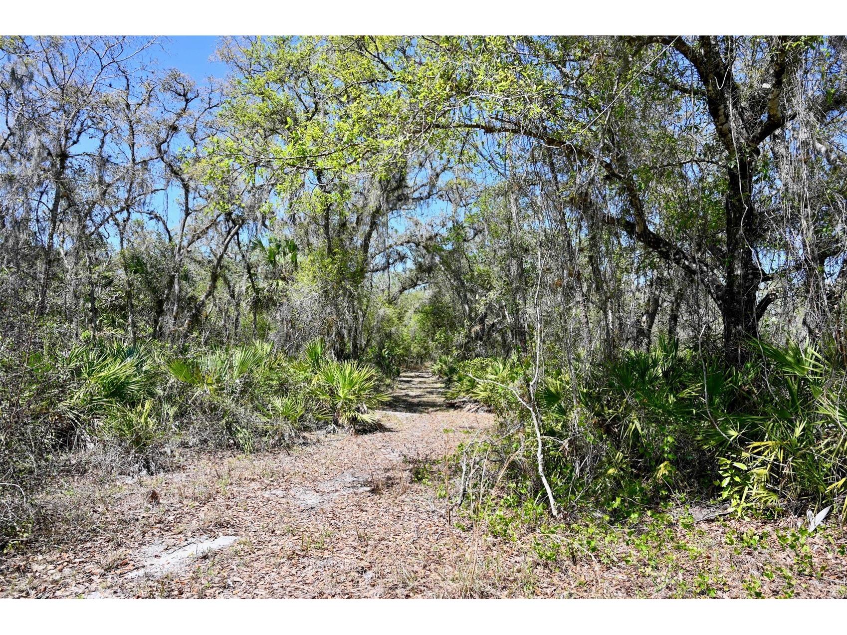 3832 SW Wildcat Run Road Arcadia FL 34266 C7524028 image11
