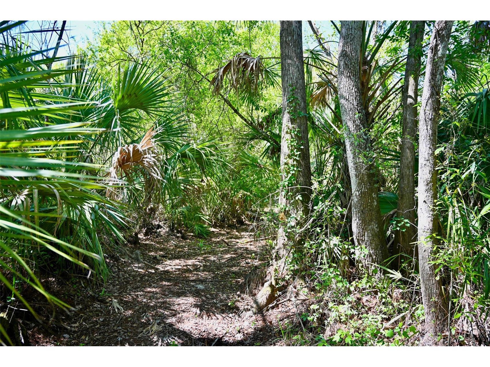 3832 SW Wildcat Run Road Arcadia FL 34266 C7524028 image12