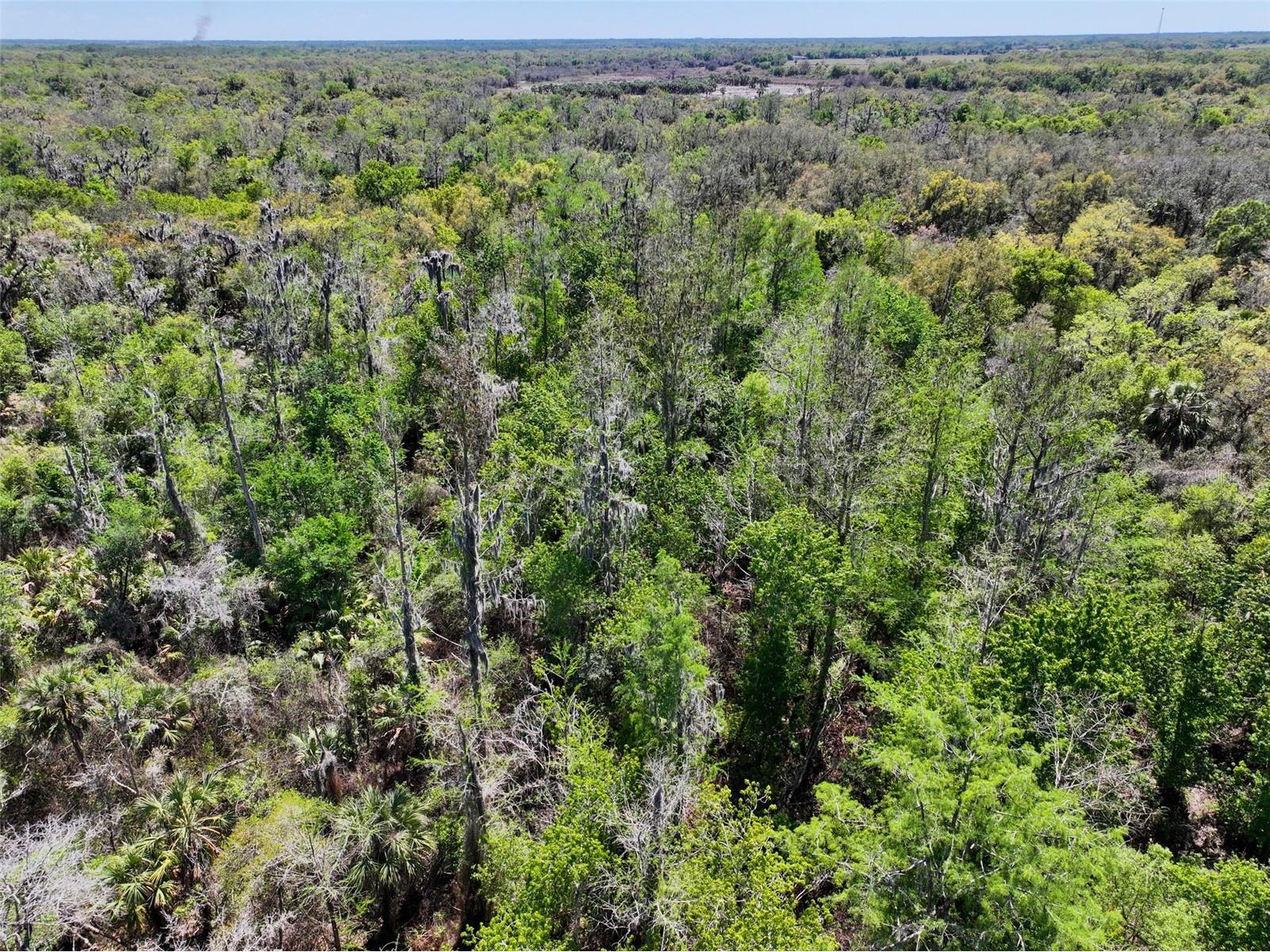 3832 SW Wildcat Run Road Arcadia FL 34266 C7524028 image15