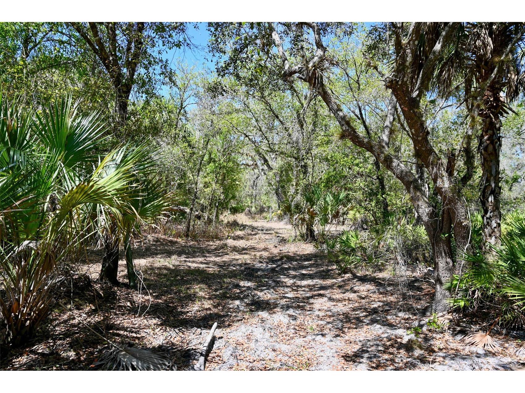 3832 SW Wildcat Run Road Arcadia FL 34266 C7524028 image18