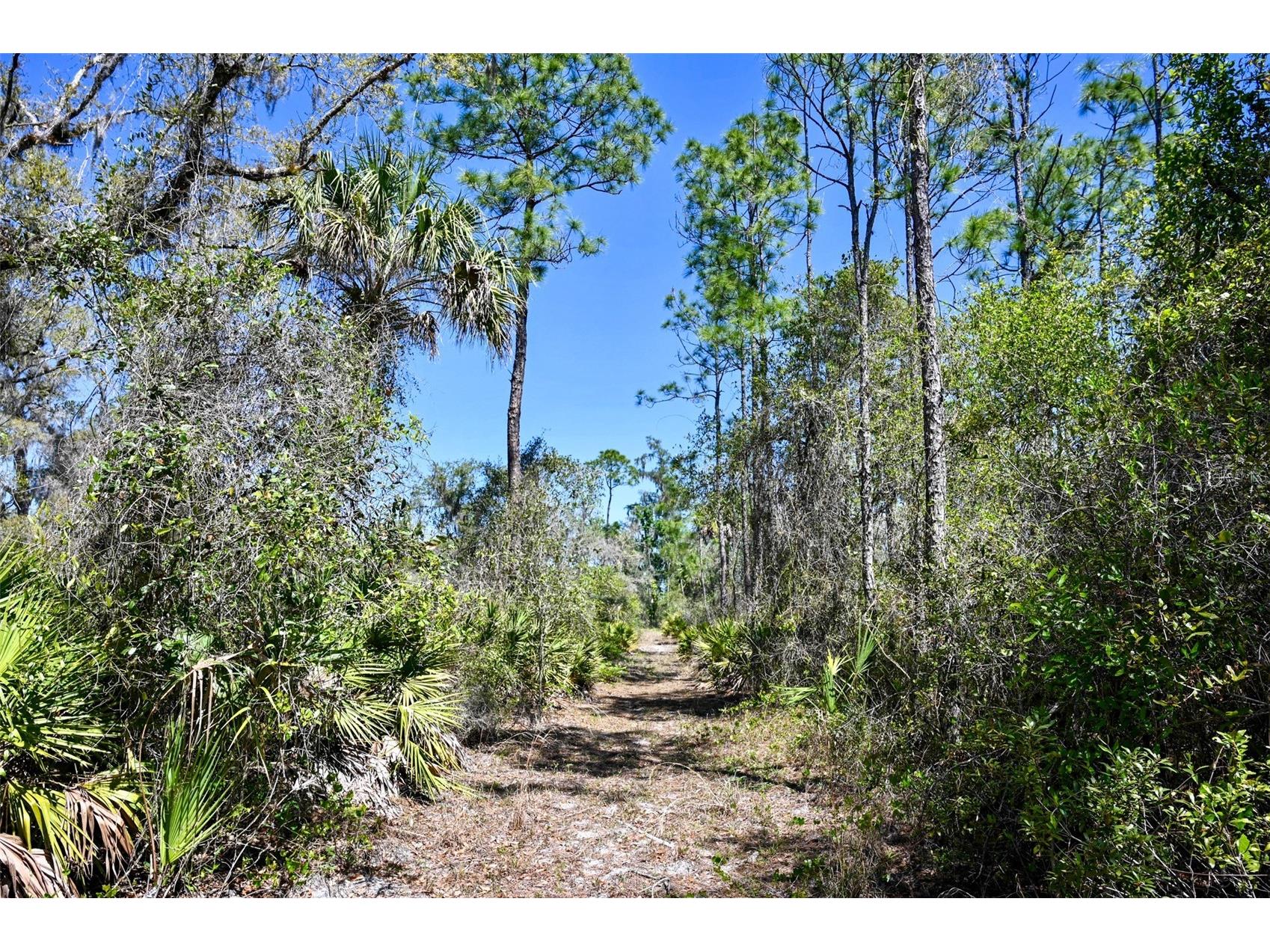 3832 SW Wildcat Run Road Arcadia FL 34266 C7524028 image2