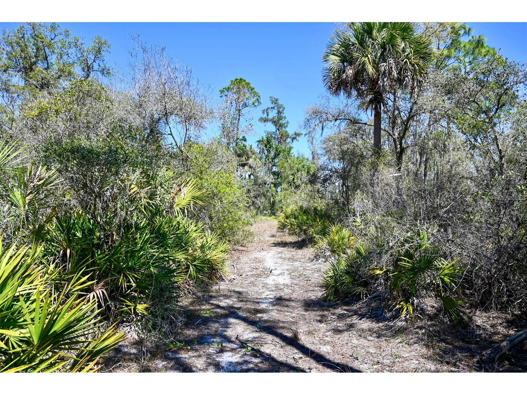 3832 SW Wildcat Run Road Arcadia FL 34266 C7524028 image20