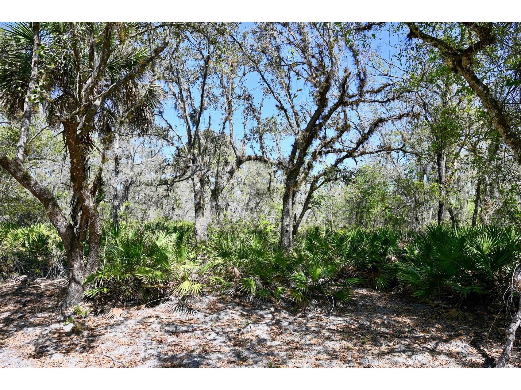 3832 SW Wildcat Run Road Arcadia FL 34266 C7524028 image22
