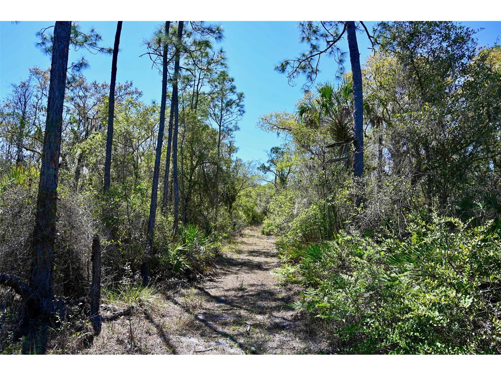 3832 SW Wildcat Run Road Arcadia FL 34266 C7524028 image25