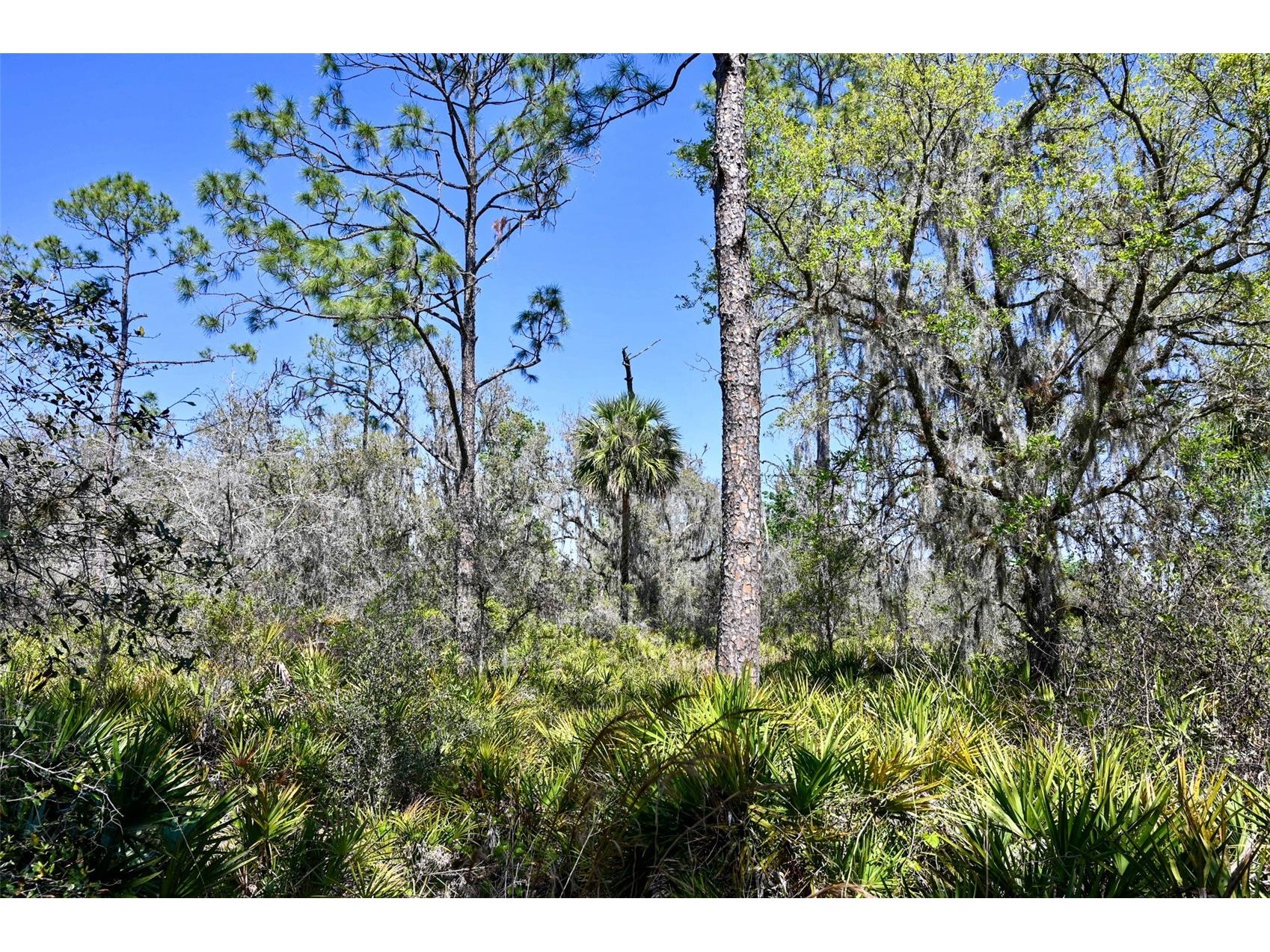 3832 SW Wildcat Run Road Arcadia FL 34266 C7524028 image27
