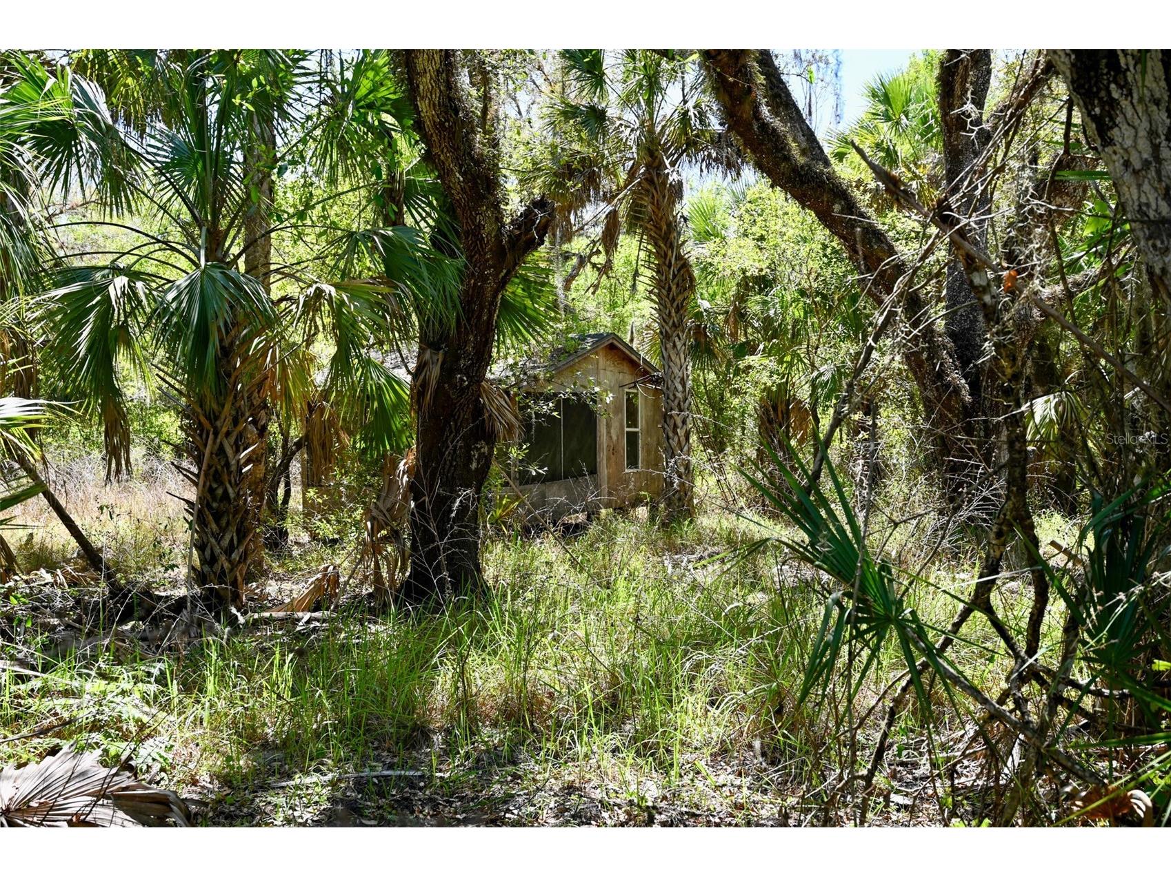 3832 SW Wildcat Run Road Arcadia FL 34266 C7524028 image28