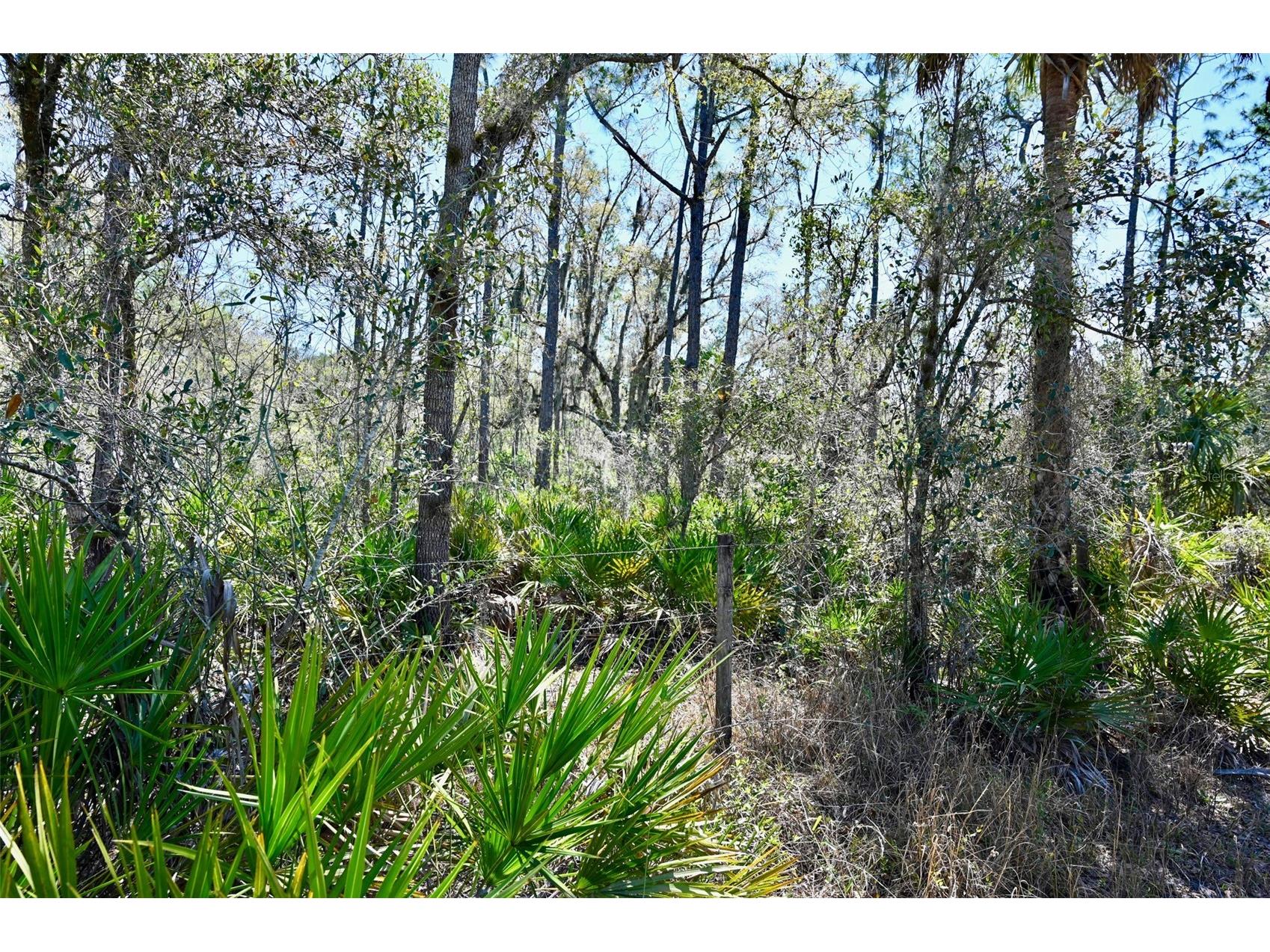 3832 SW Wildcat Run Road Arcadia FL 34266 C7524028 image29