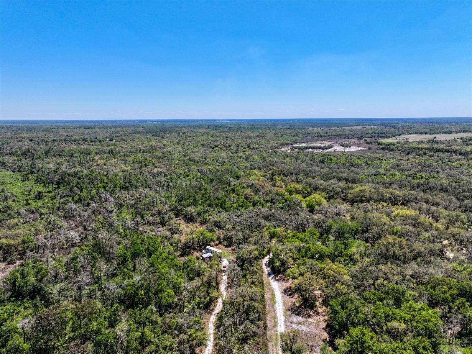 3832 SW Wildcat Run Road Arcadia FL 34266 C7524028 image30