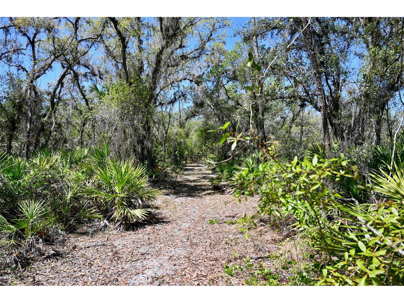 3832 SW Wildcat Run Road Arcadia FL 34266 C7524028 image31