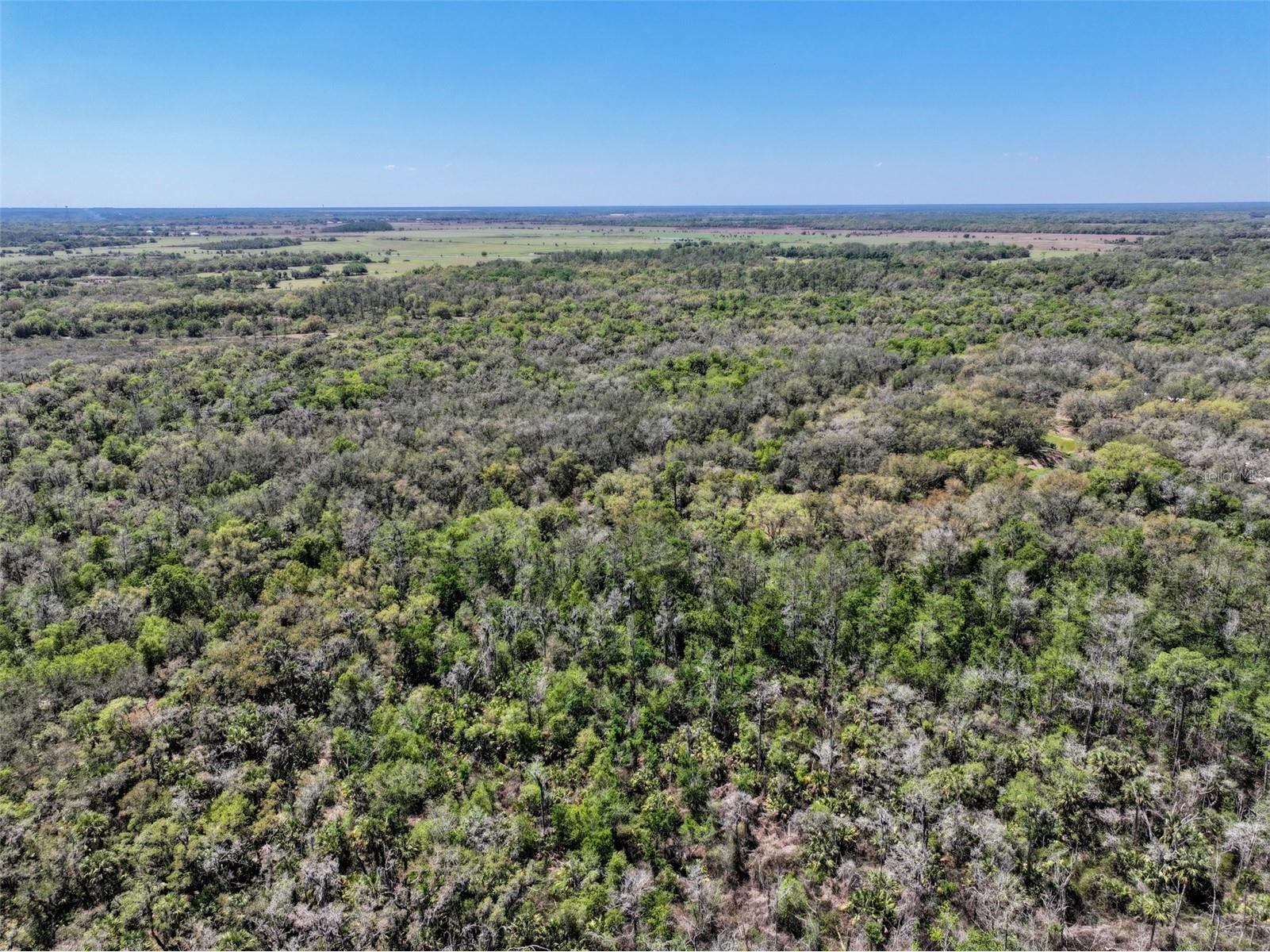 3832 SW Wildcat Run Road Arcadia FL 34266 C7524028 image32