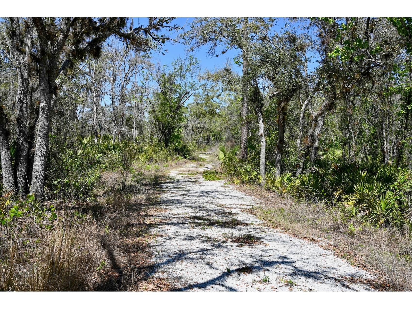 3832 SW Wildcat Run Road Arcadia FL 34266 C7524028 image33