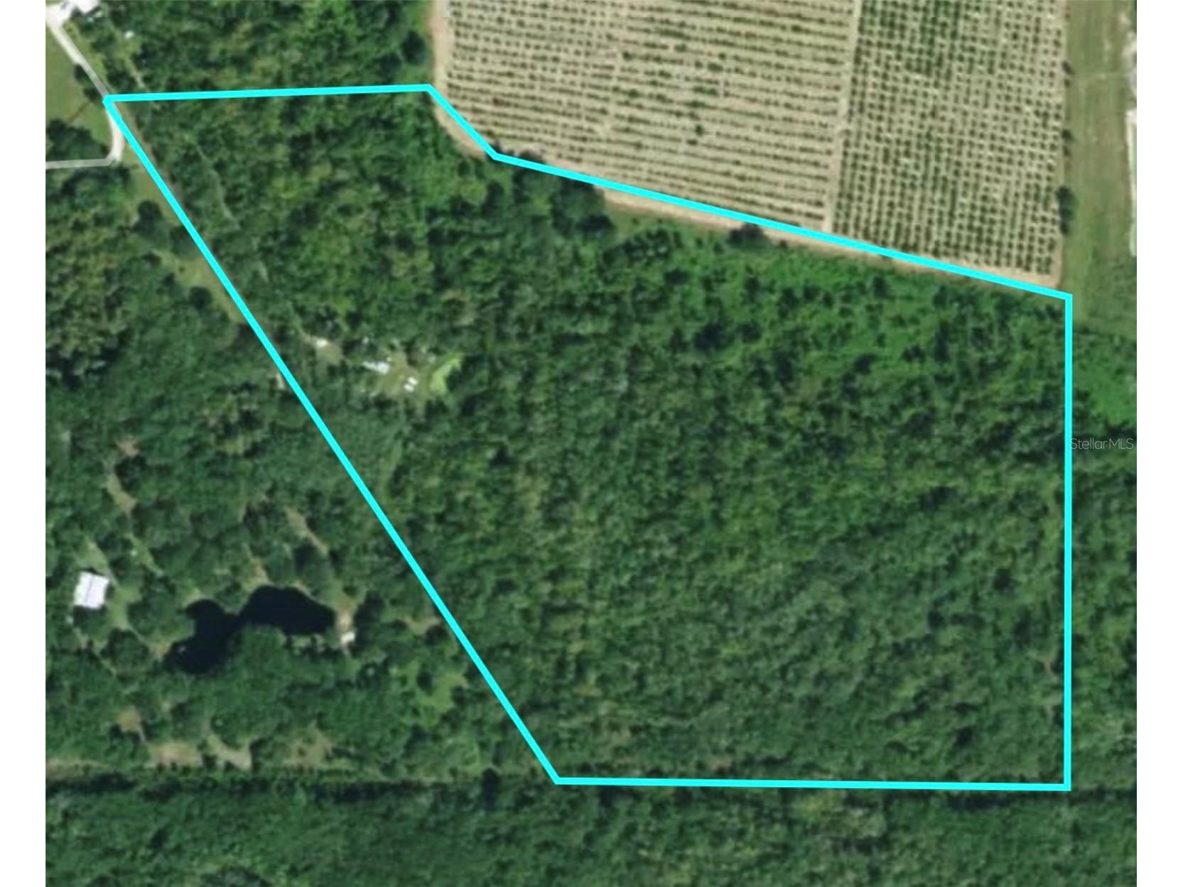 3832 SW Wildcat Run Road Arcadia FL 34266 C7524028 image34