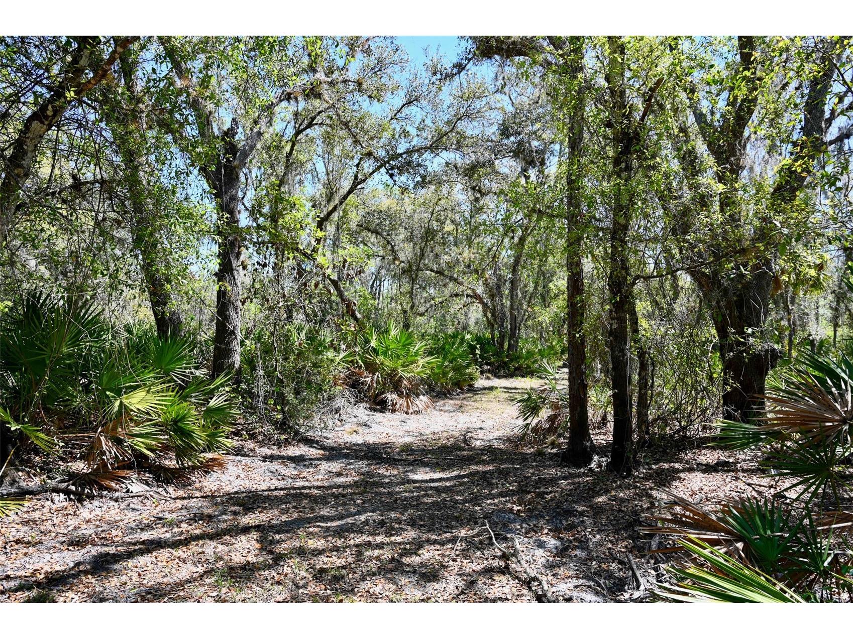 3832 SW Wildcat Run Road Arcadia FL 34266 C7524028 image4