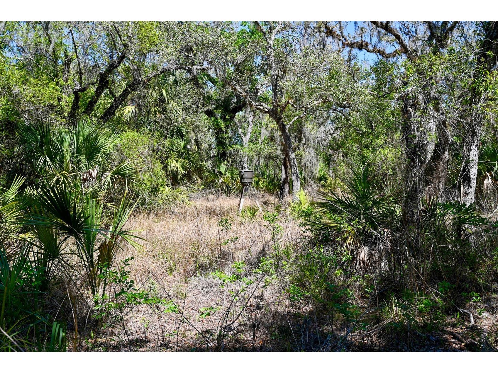 3832 SW Wildcat Run Road Arcadia FL 34266 C7524028 image9