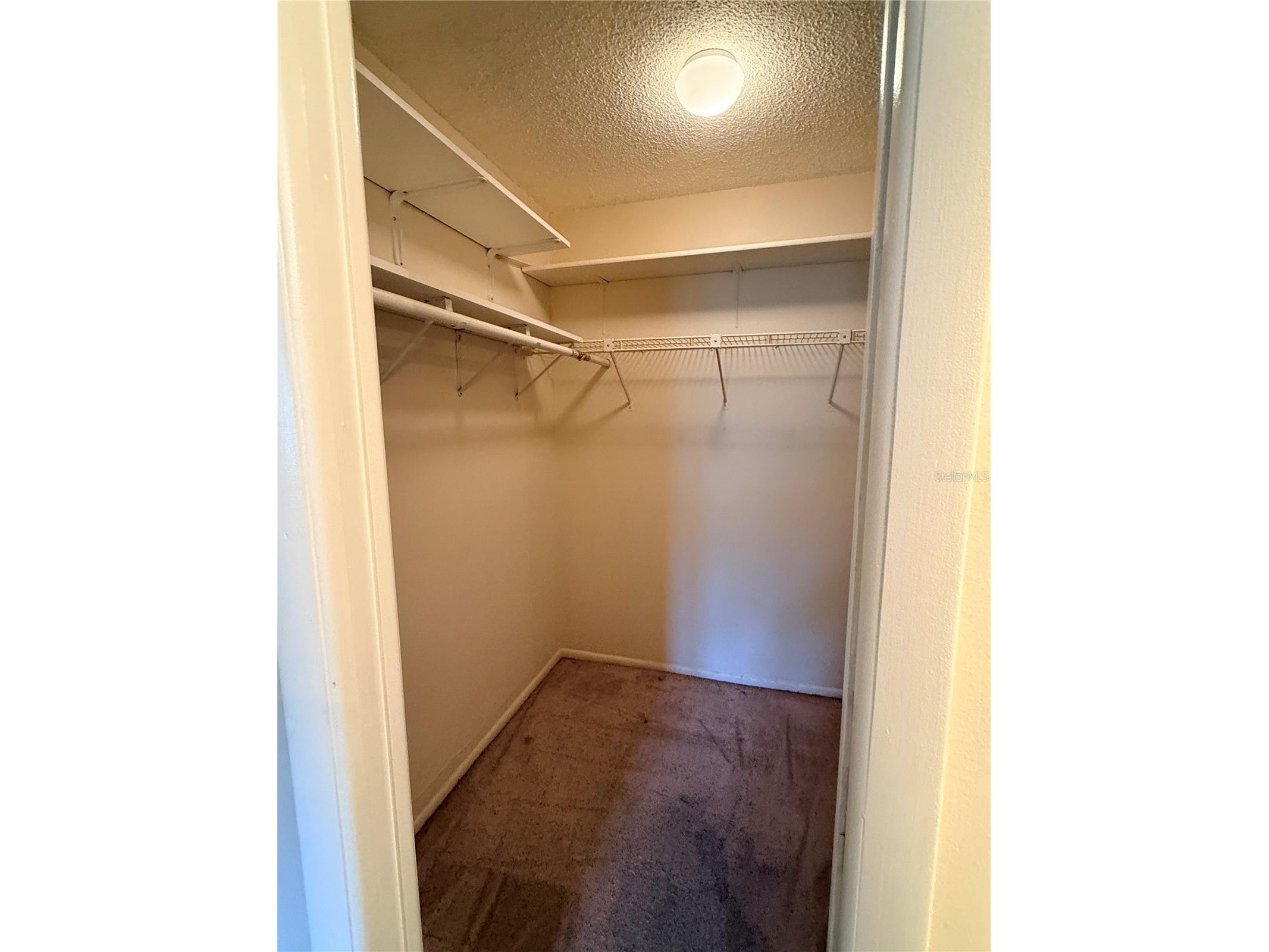3832 Teeside Drive #4 New Port Richey FL 34655 TB8517437 image10