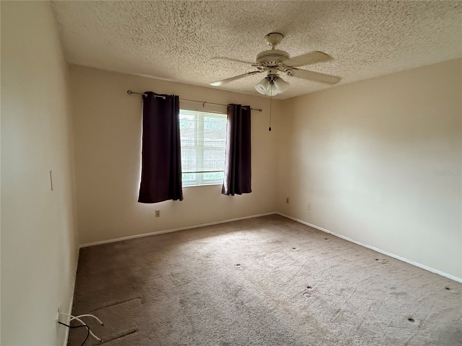 3832 Teeside Drive #4 New Port Richey FL 34655 TB8517437 image9