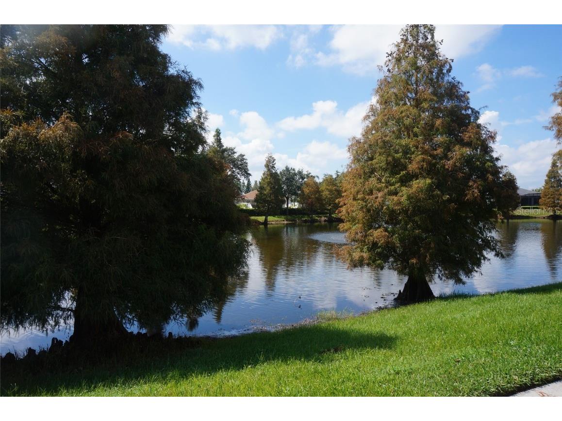 3832 Traditions Boulevard N Winter Haven FL 33884 - Ruby P4932254 image3