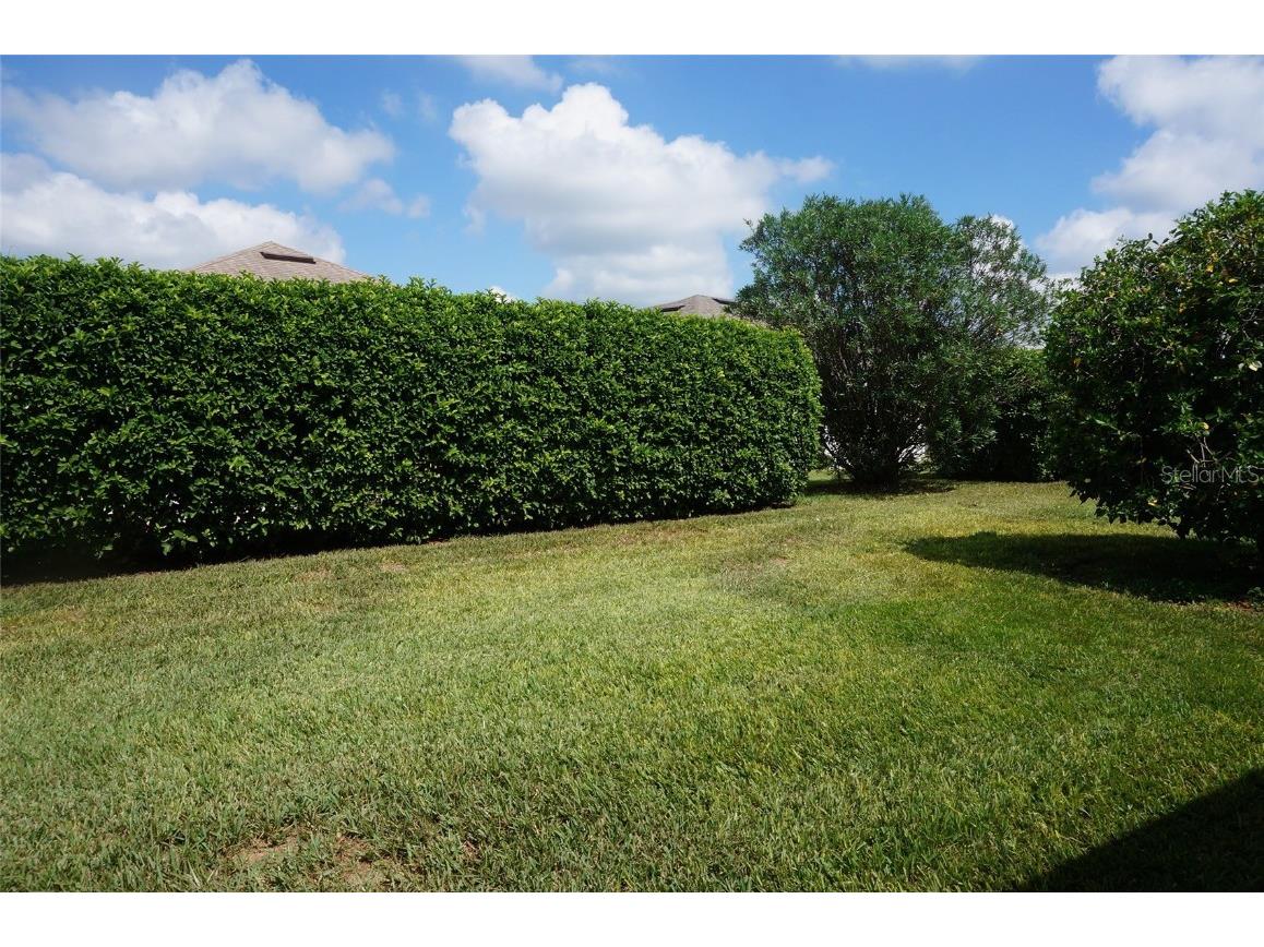 3832 Traditions Boulevard N Winter Haven FL 33884 - Ruby P4932254 image49