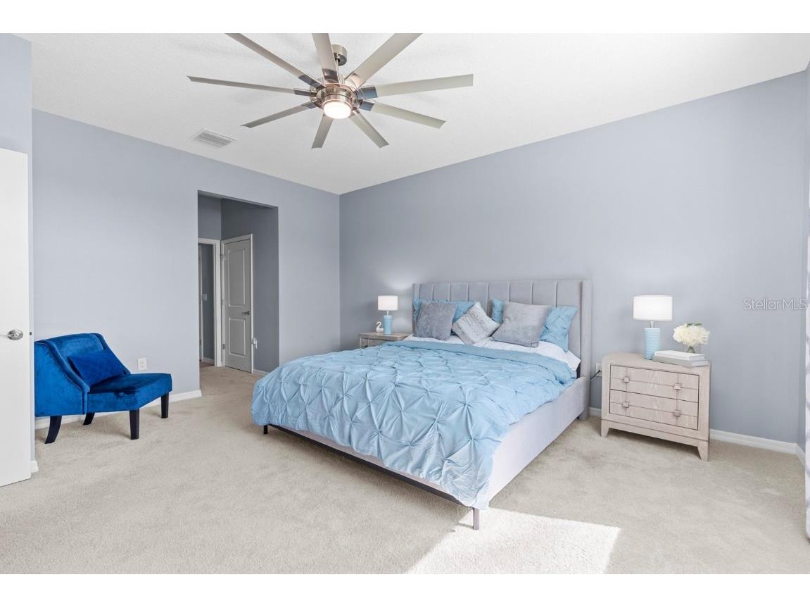 38324 Springhead Lane Zephyrhills FL 33540 TB8449467 image17