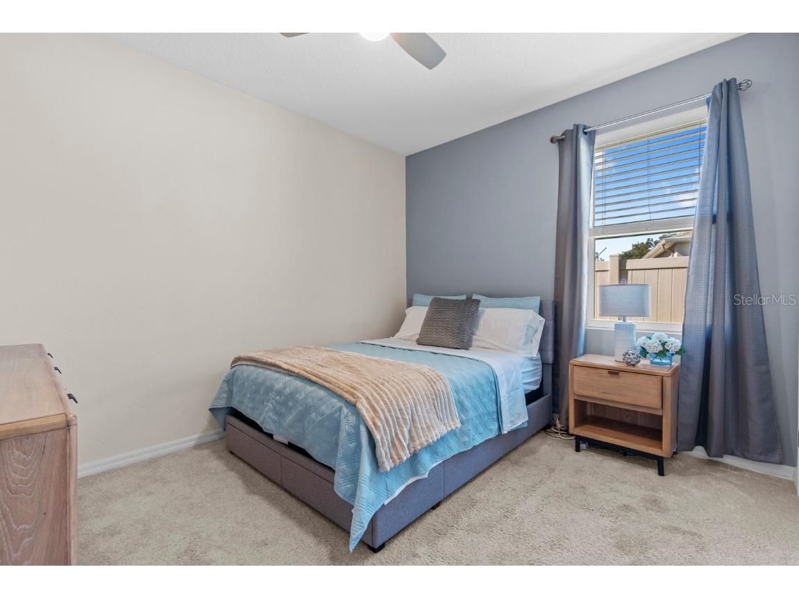 38324 Springhead Lane Zephyrhills FL 33540 TB8449467 image21