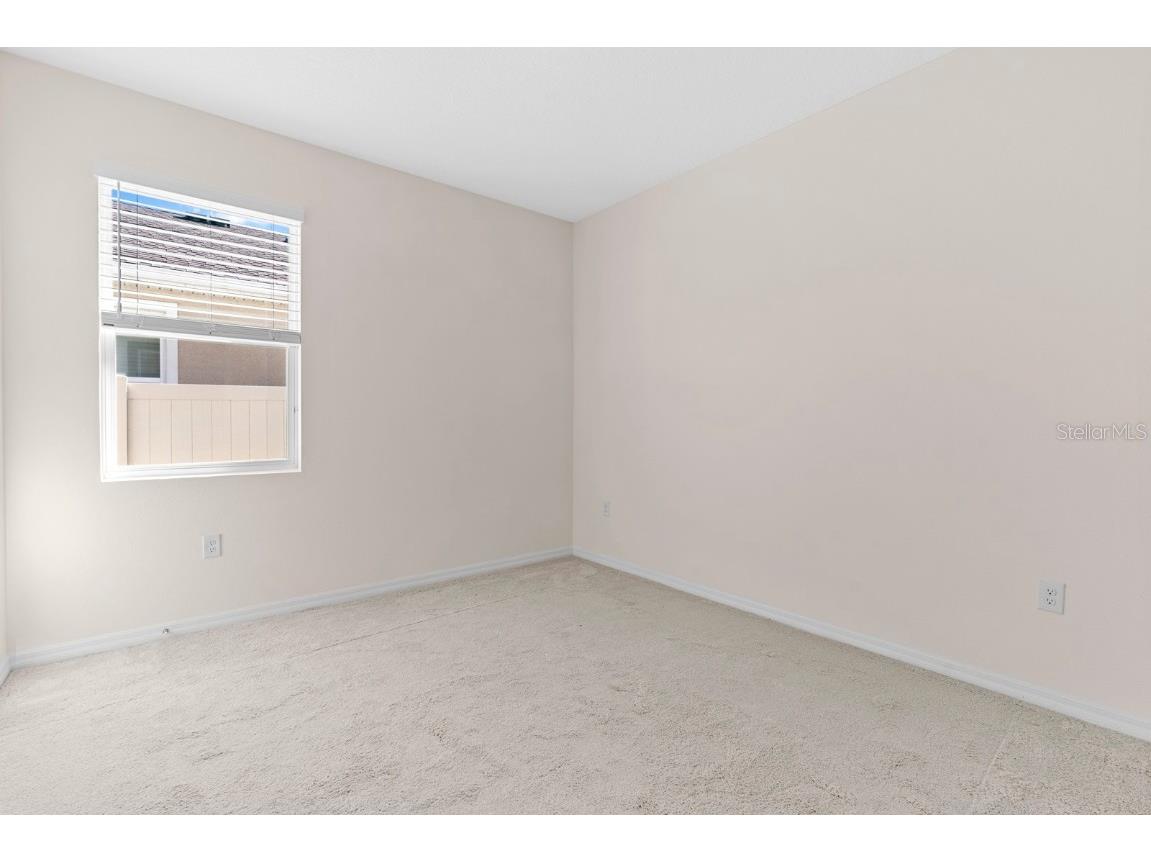 38324 Springhead Lane Zephyrhills FL 33540 TB8449467 image23