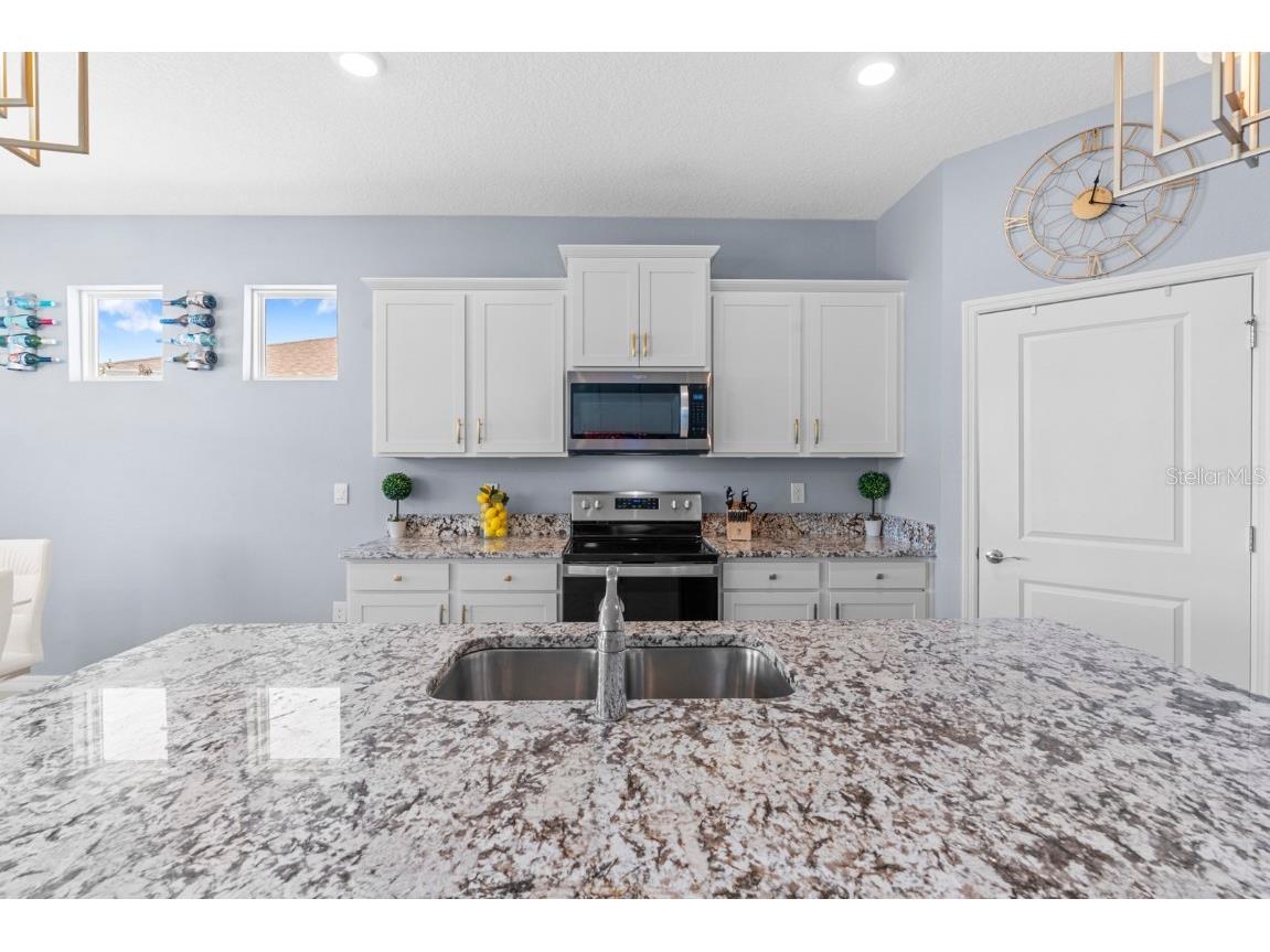 38324 Springhead Lane Zephyrhills FL 33540 TB8449467 image9