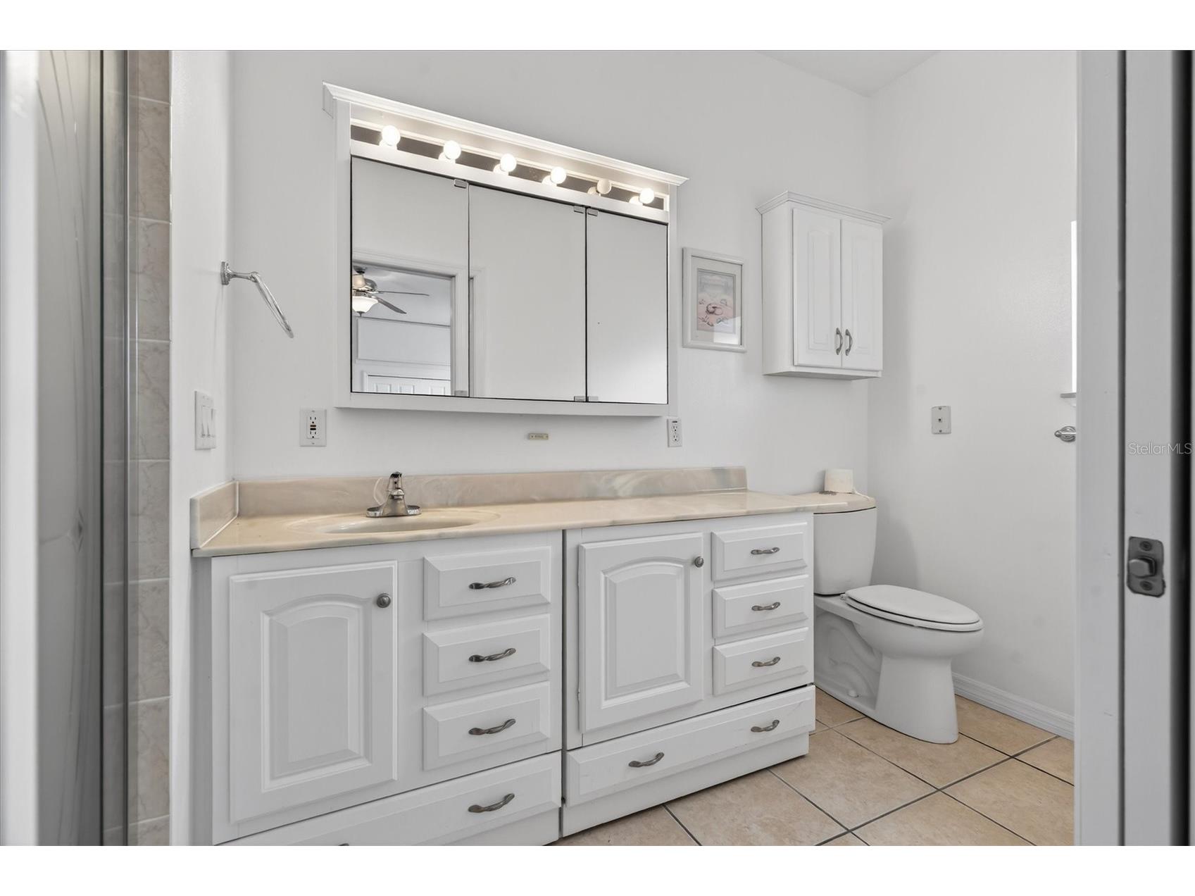 38327 Hamrich Drive Dade City FL 33525 TB8493776 image13
