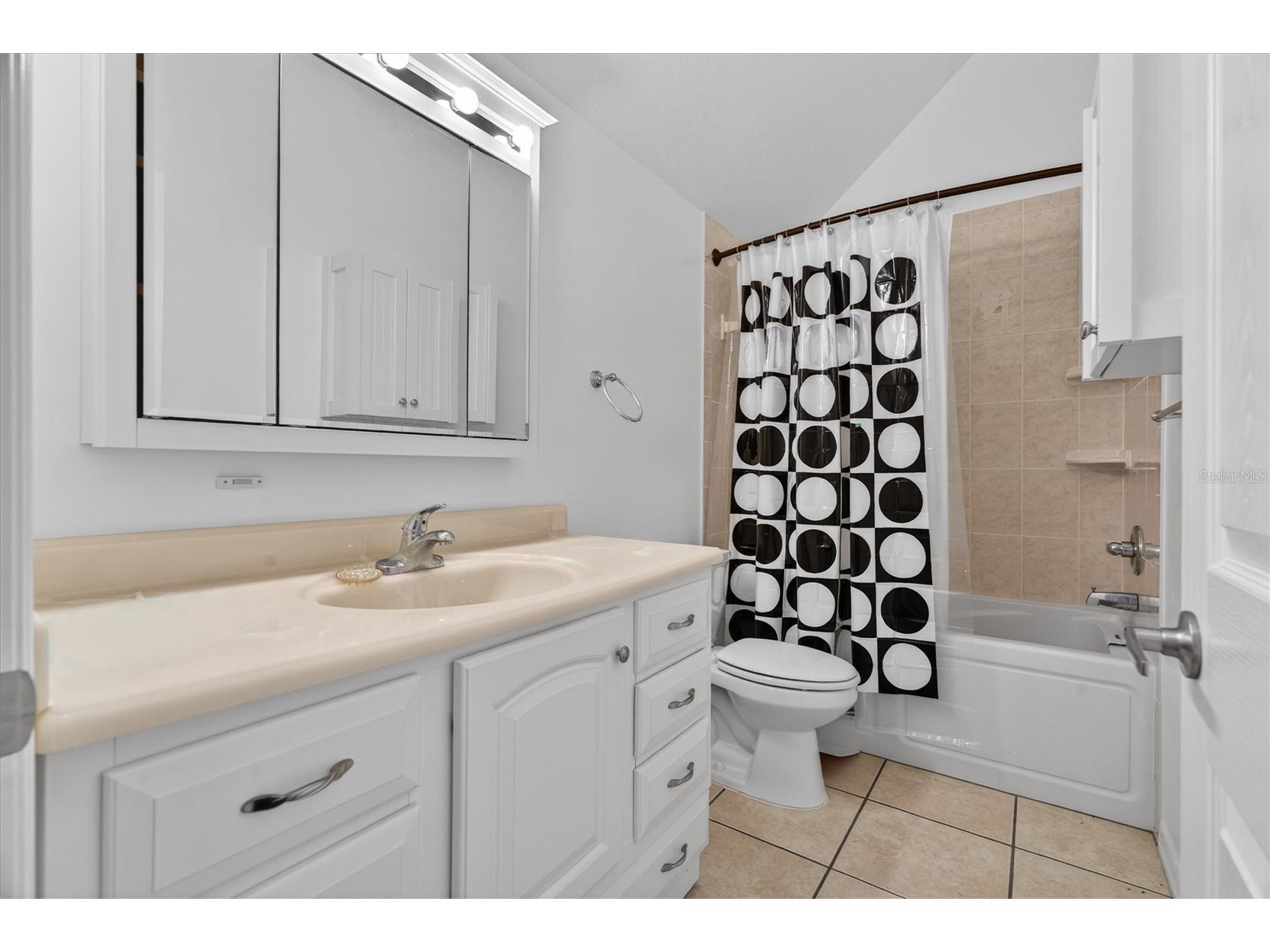 38327 Hamrich Drive Dade City FL 33525 TB8493776 image26