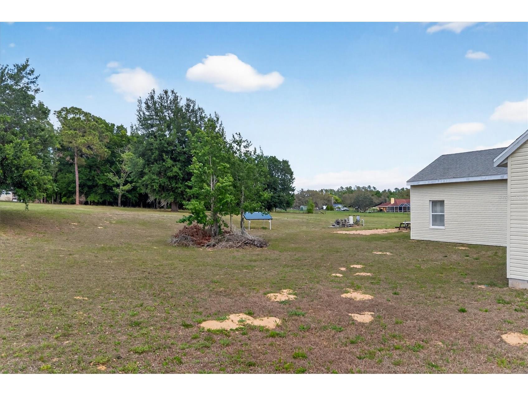 38327 Hamrich Drive Dade City FL 33525 TB8493776 image45